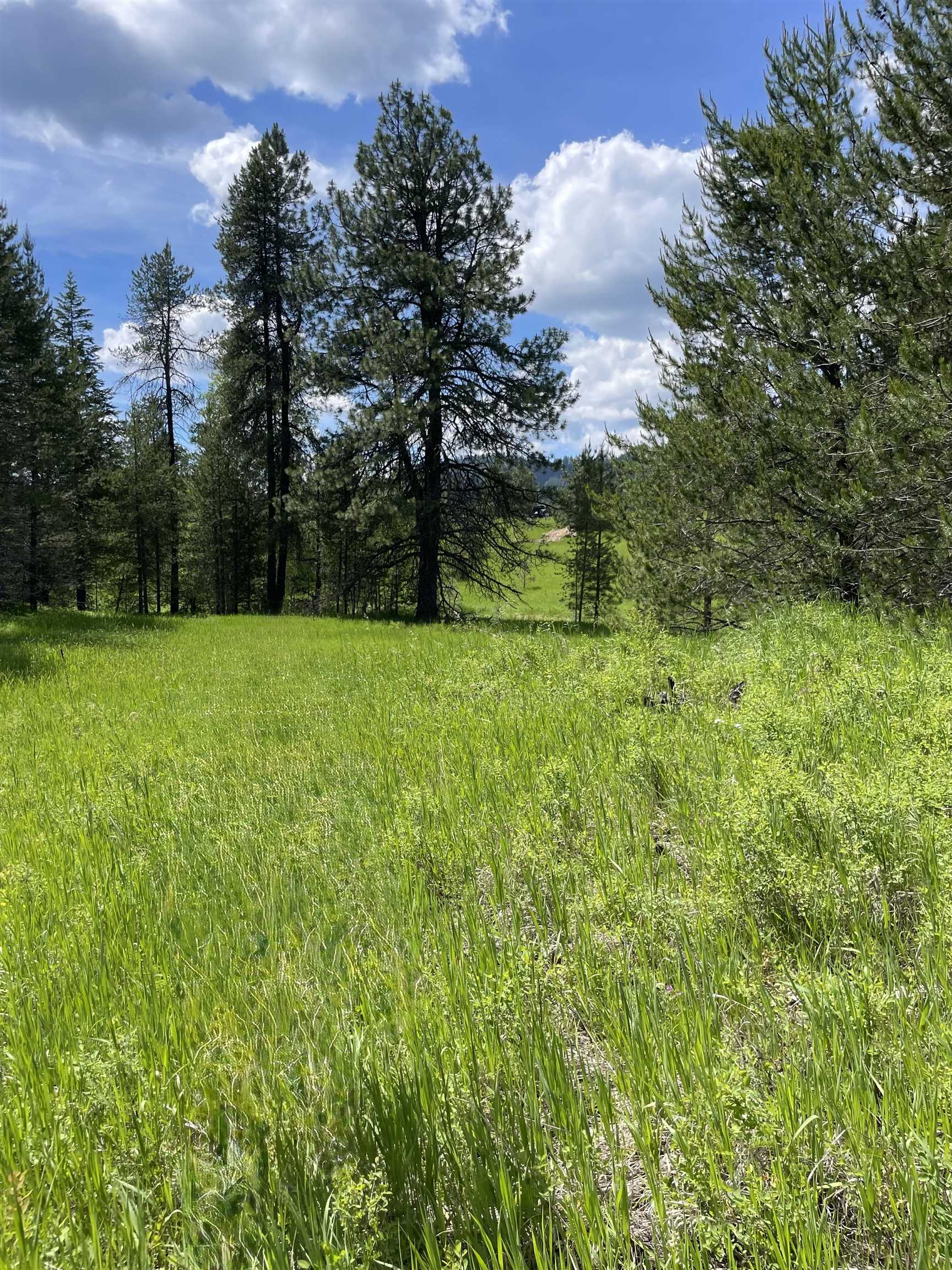 4435 Whittier (Lot 2) Rd - Photo 16