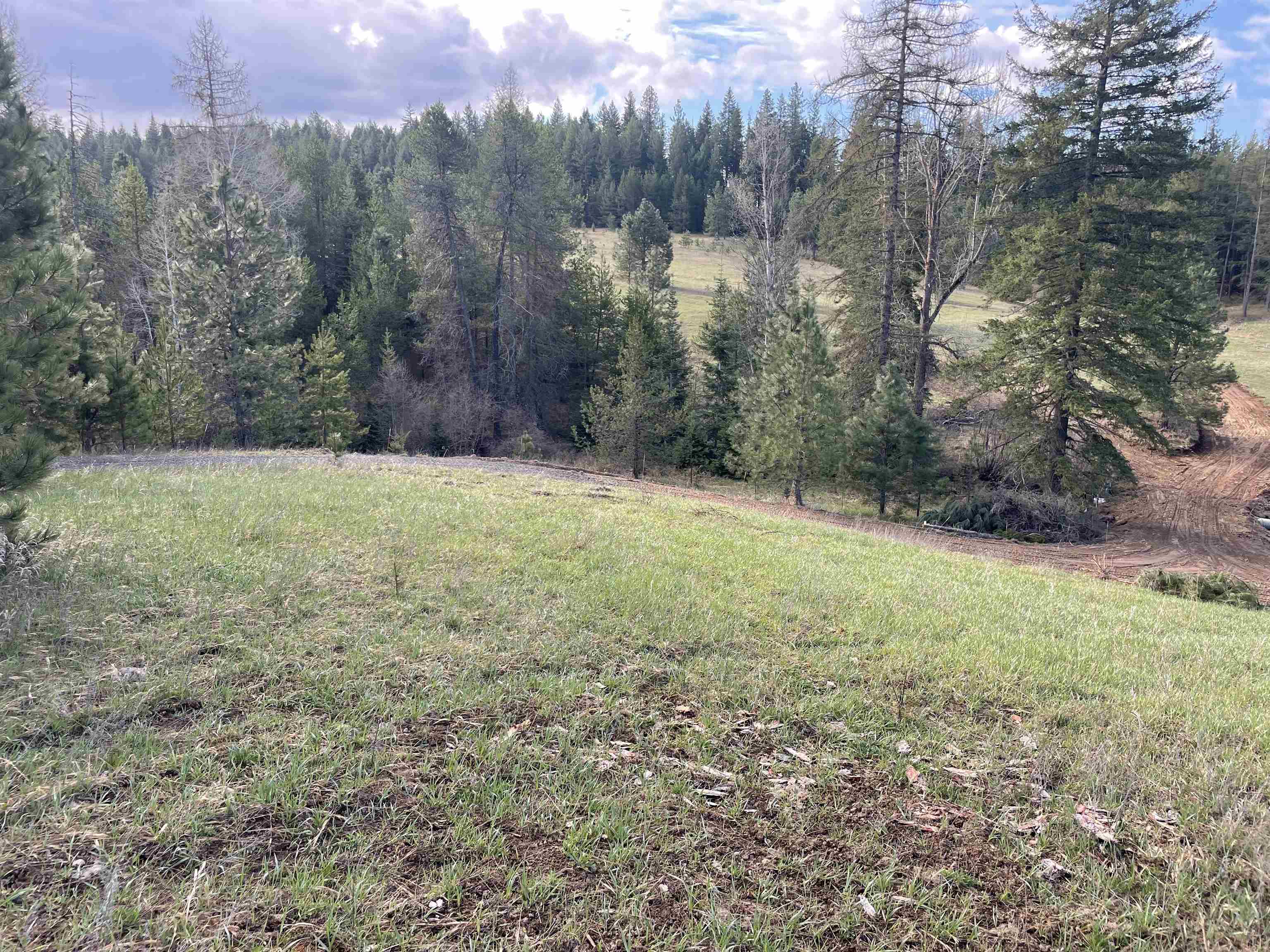 4435 Whittier (Lot 2) Rd - Photo 19