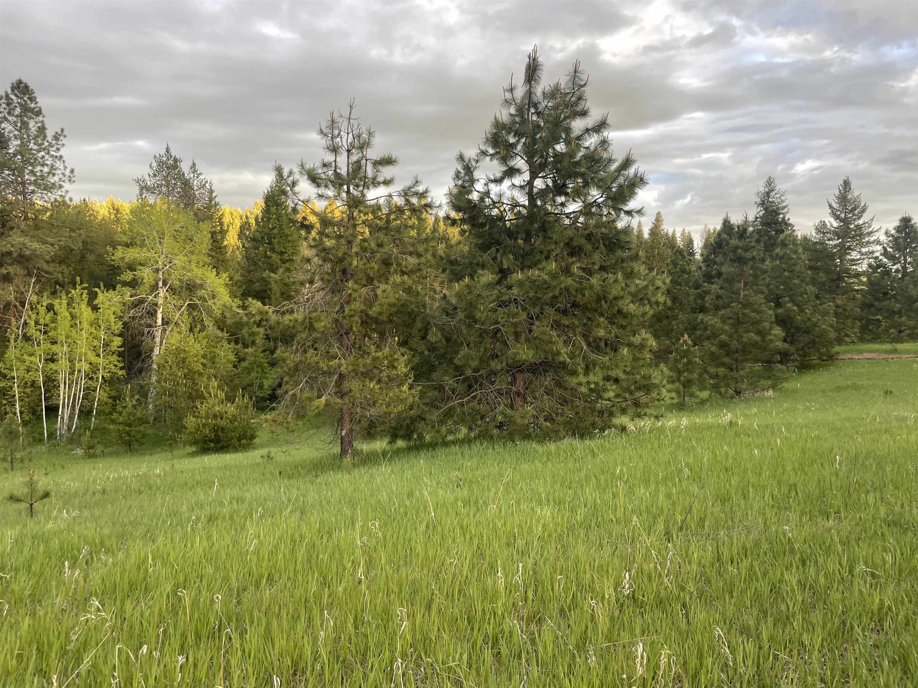 4435 Whittier (Lot 2) Rd - Photo 24