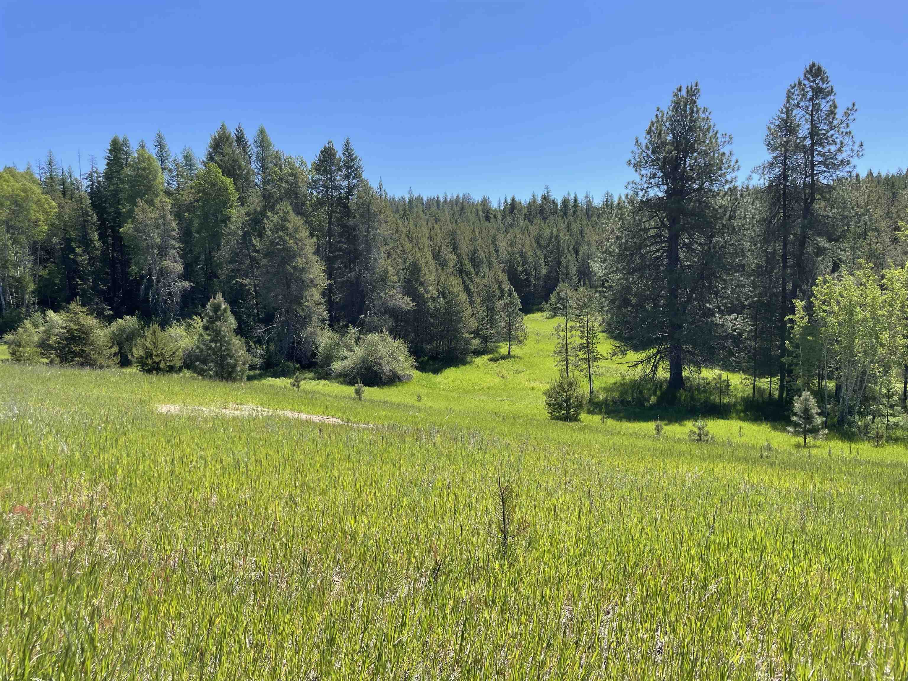 4435 Whittier (Lot 2) Rd - Photo 25