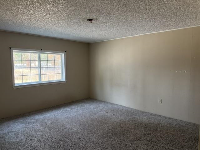 22220 N Elk-Chattaroy Rd - Photo 9