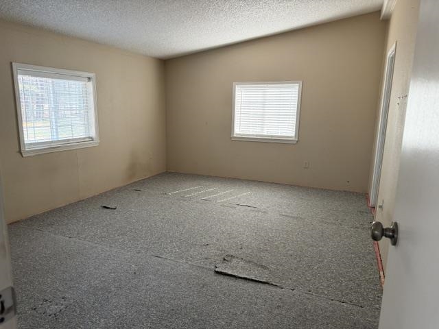 22220 N Elk-Chattaroy Rd - Photo 11
