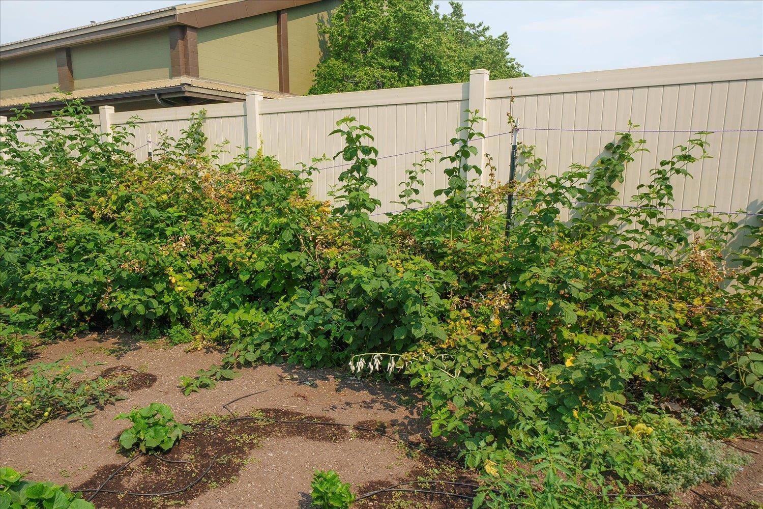 1808 W Kiernan Ave - Photo 42