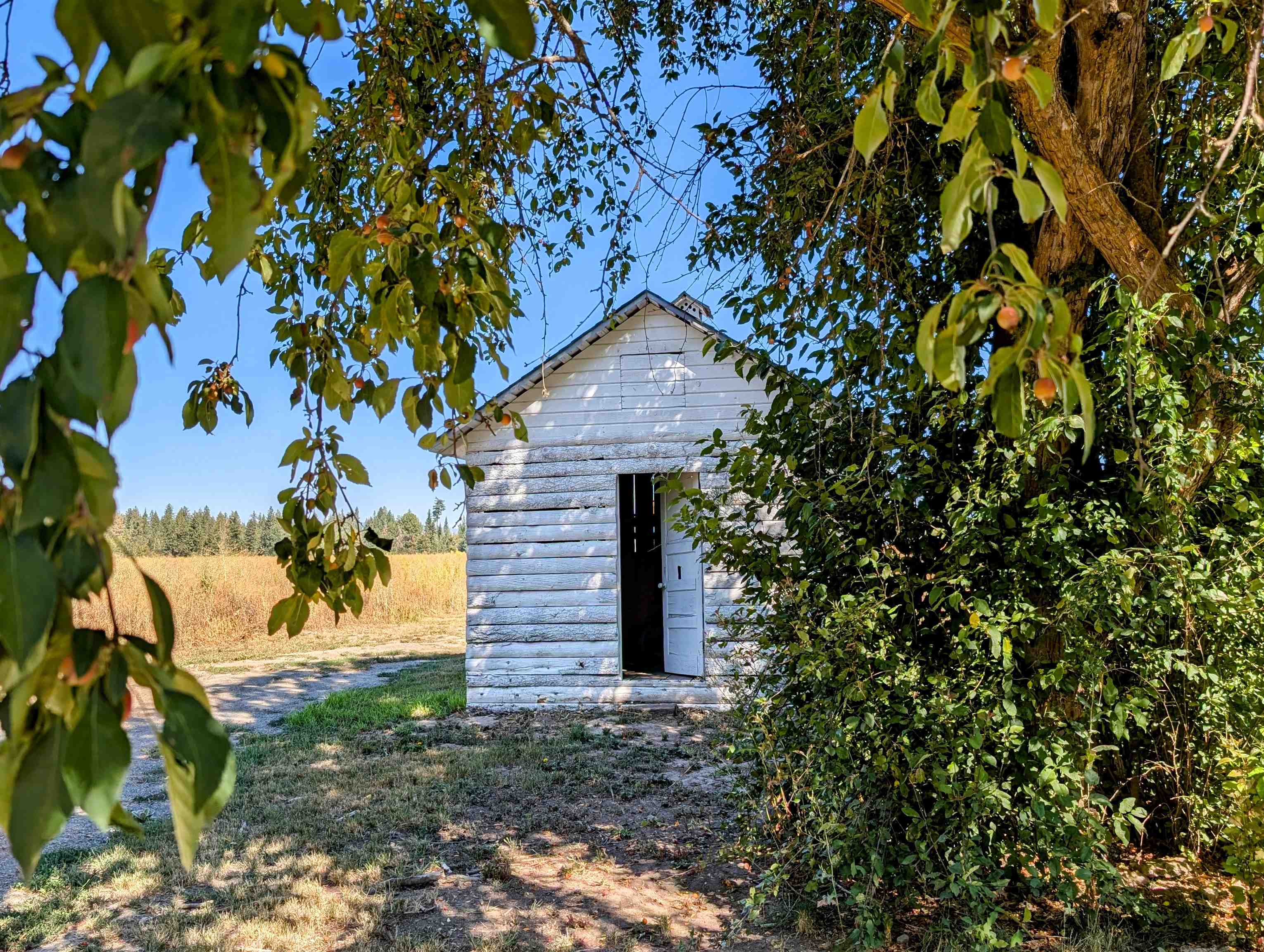 7824 W Dahl Rd - Photo 42