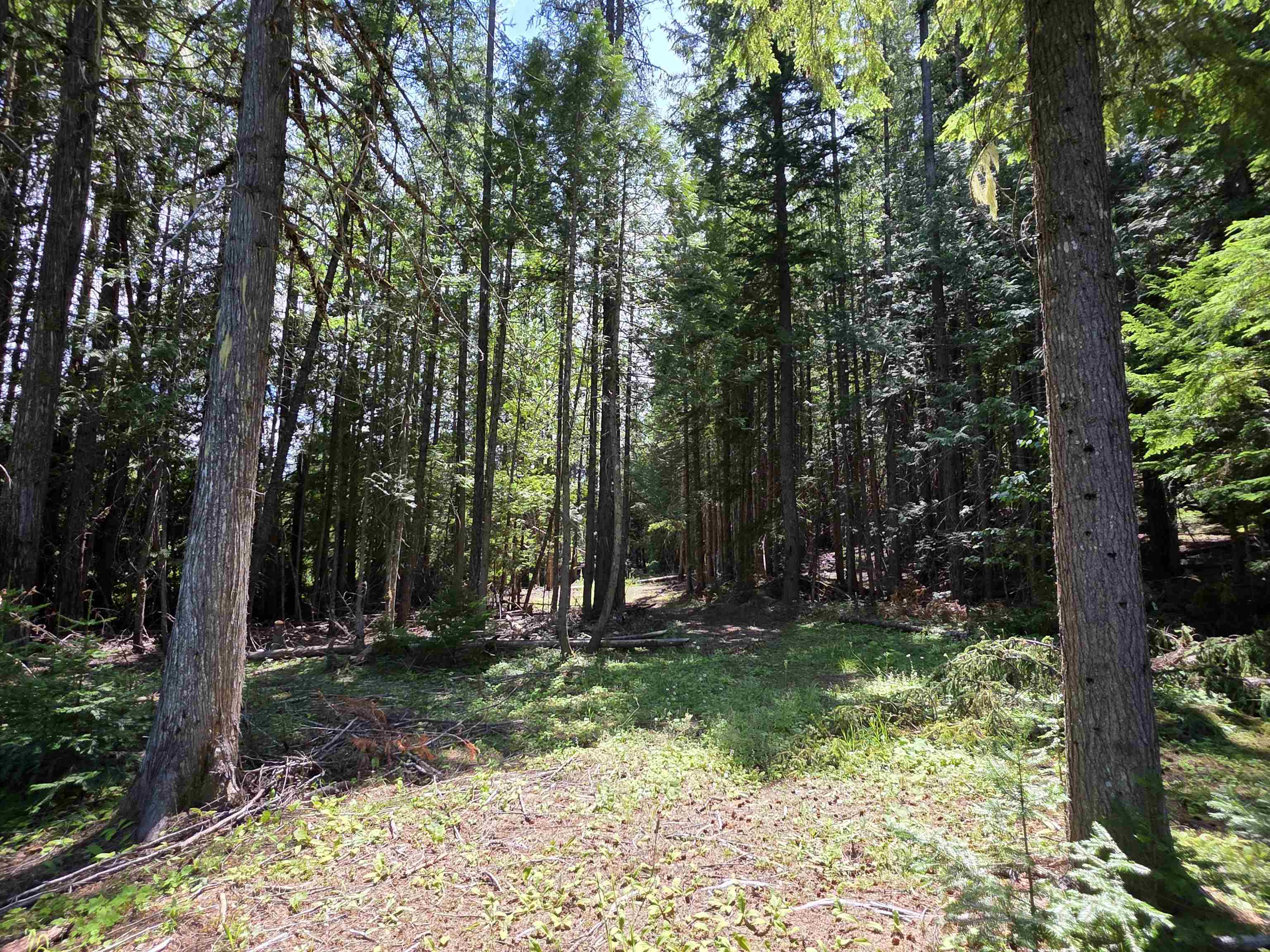 10281 Boundary Rd - Photo 15