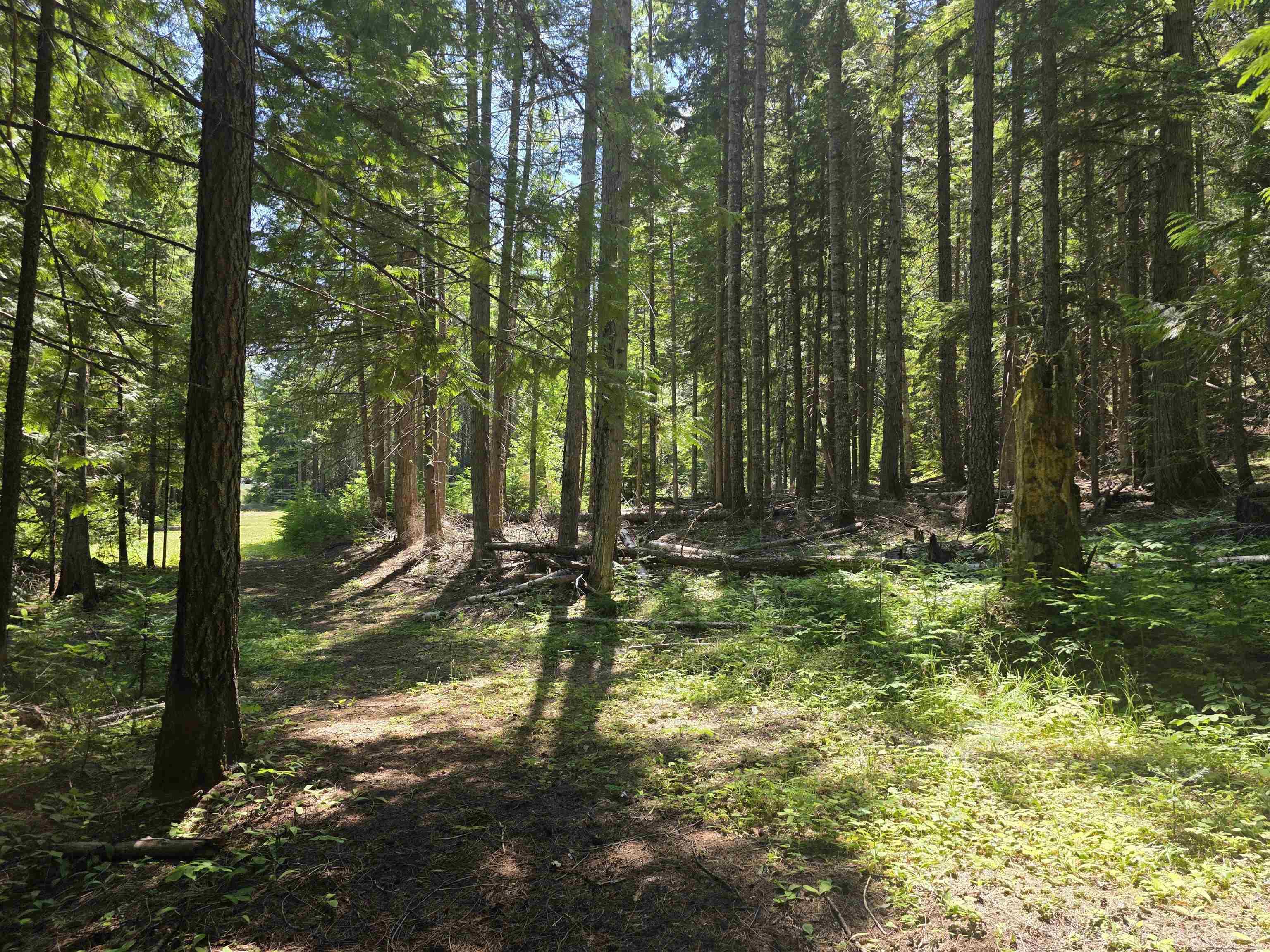 10281 Boundary Rd - Photo 16