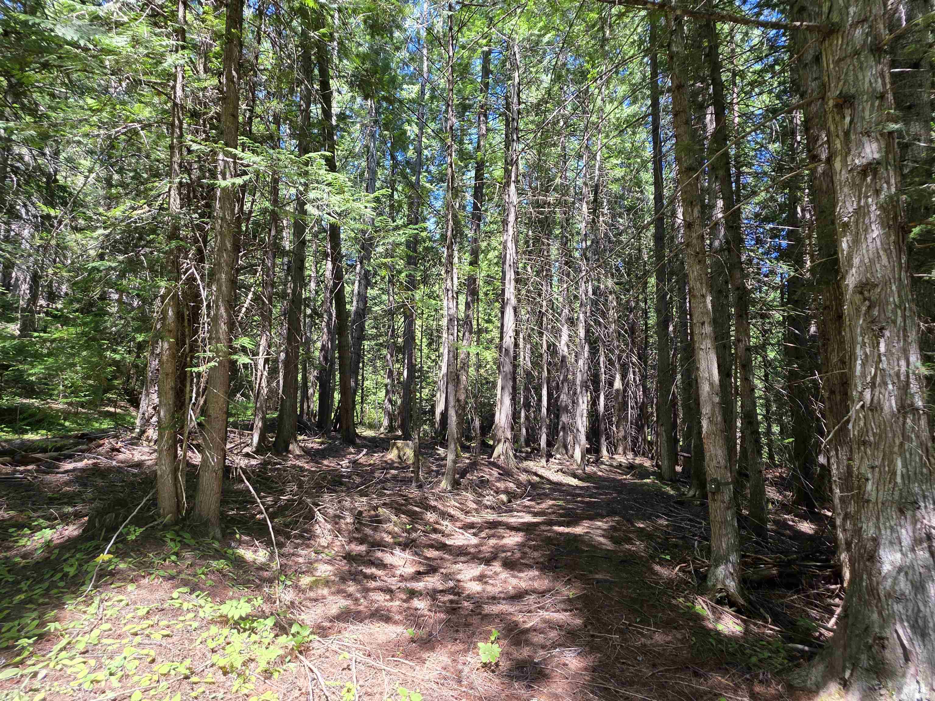 10281 Boundary Rd - Photo 18