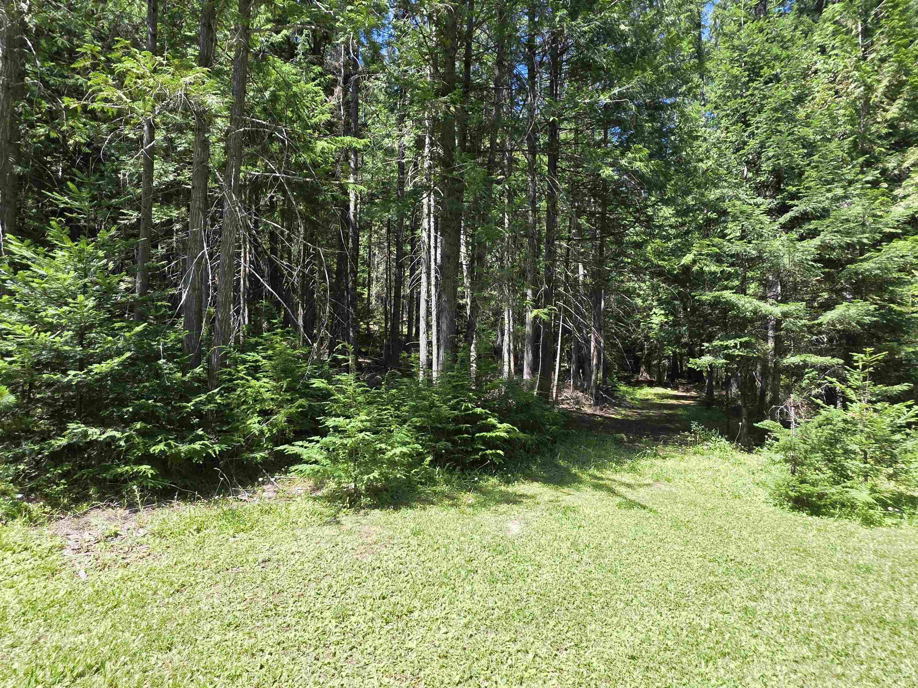 10281 Boundary Rd - Photo 14
