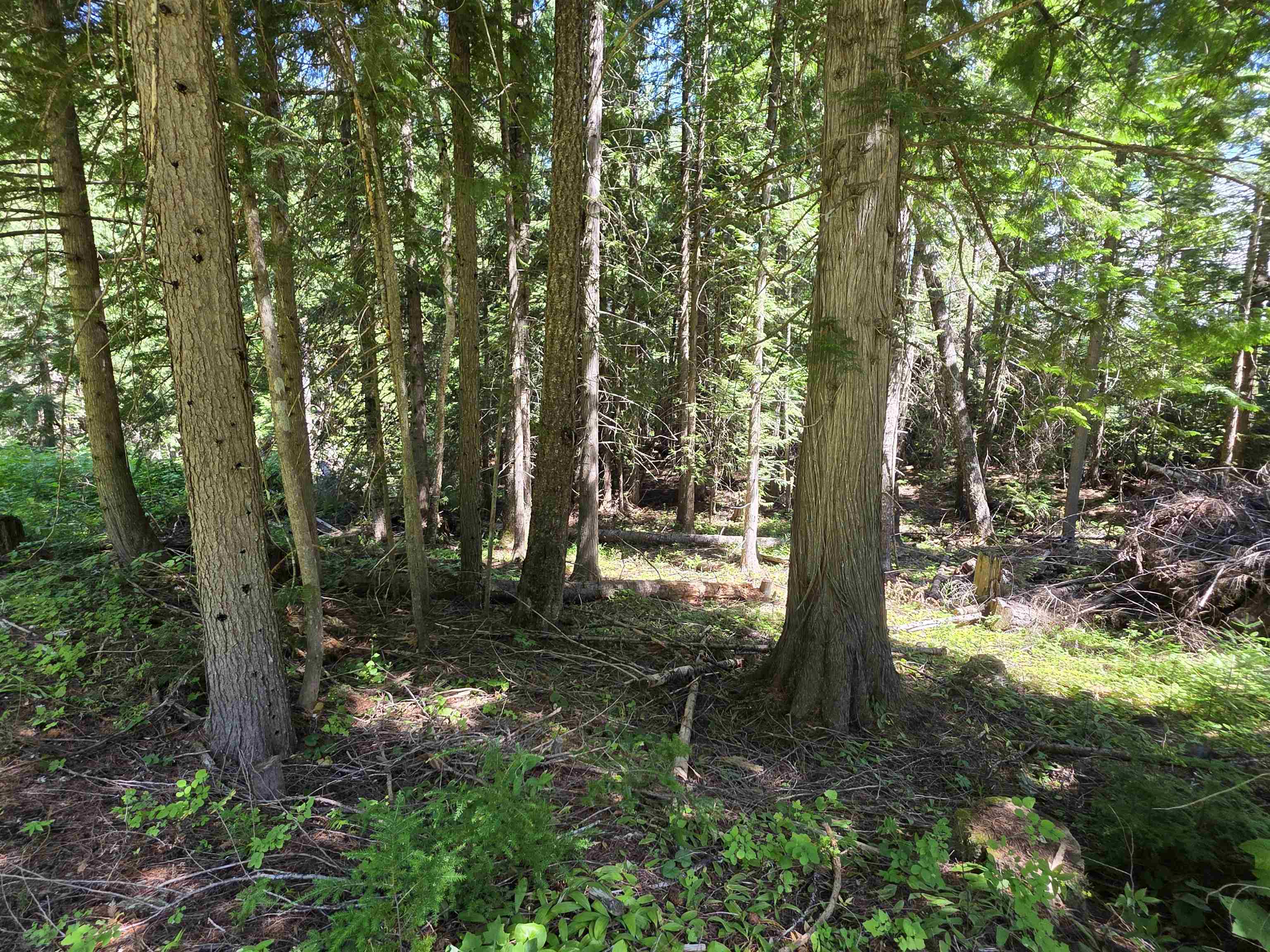 10281 Boundary Rd - Photo 17
