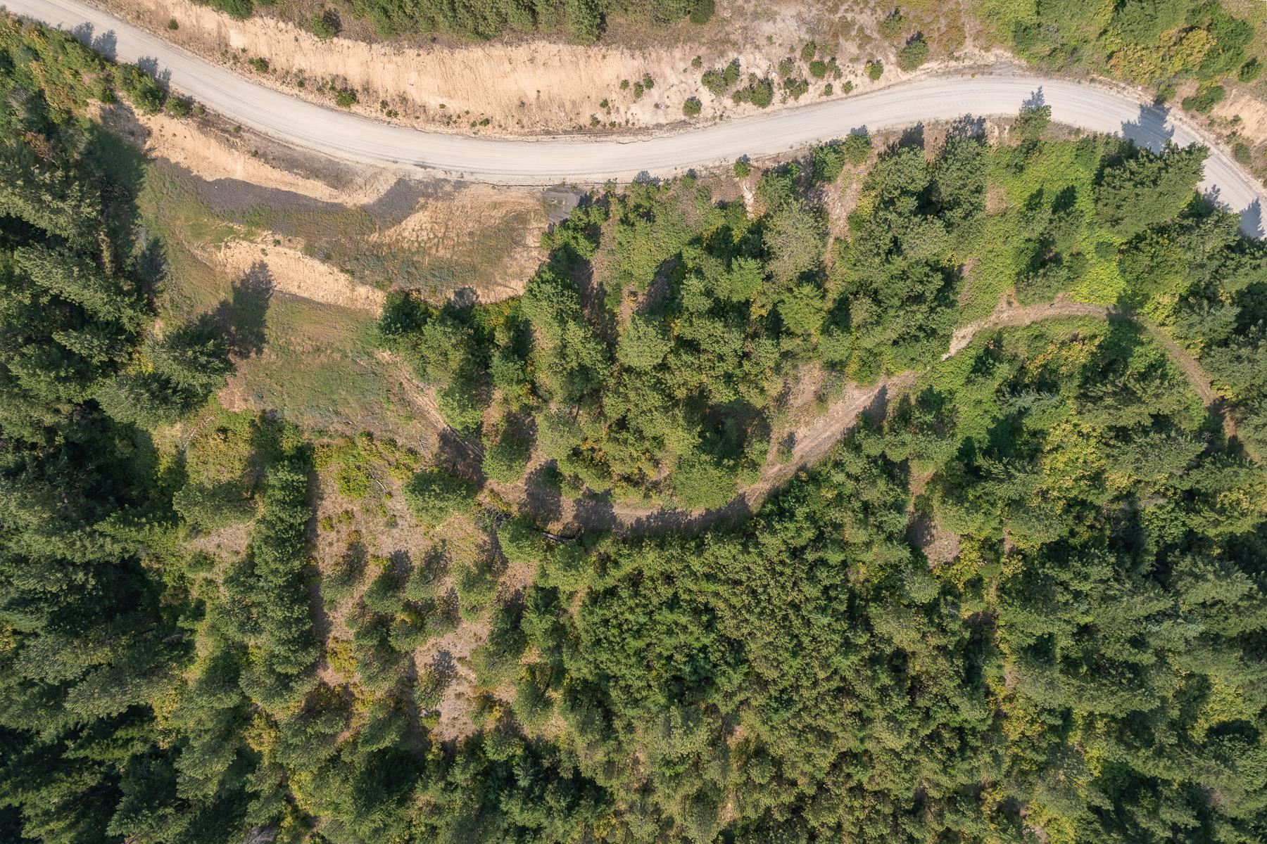 NNA Blue Ridge Way - Photo 12