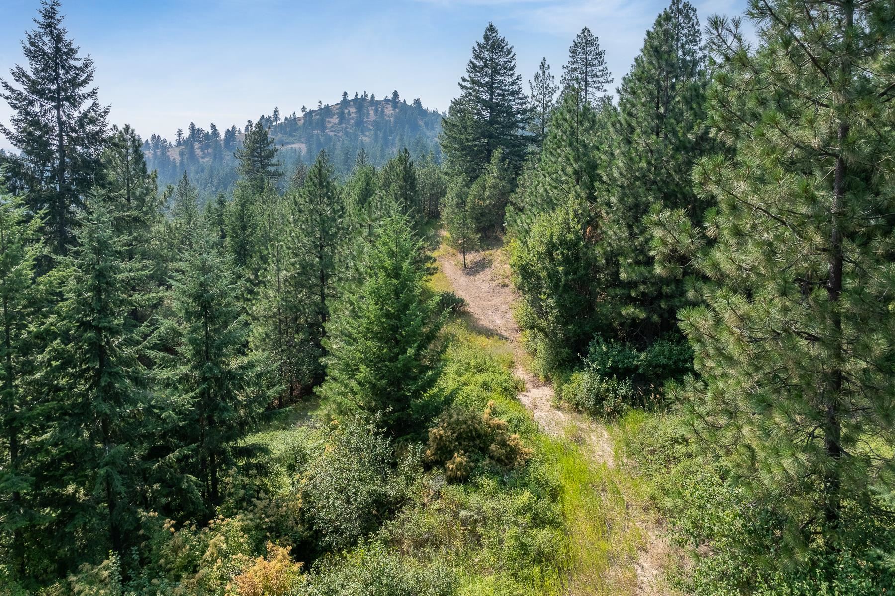 NNA Blue Ridge Way - Photo 11