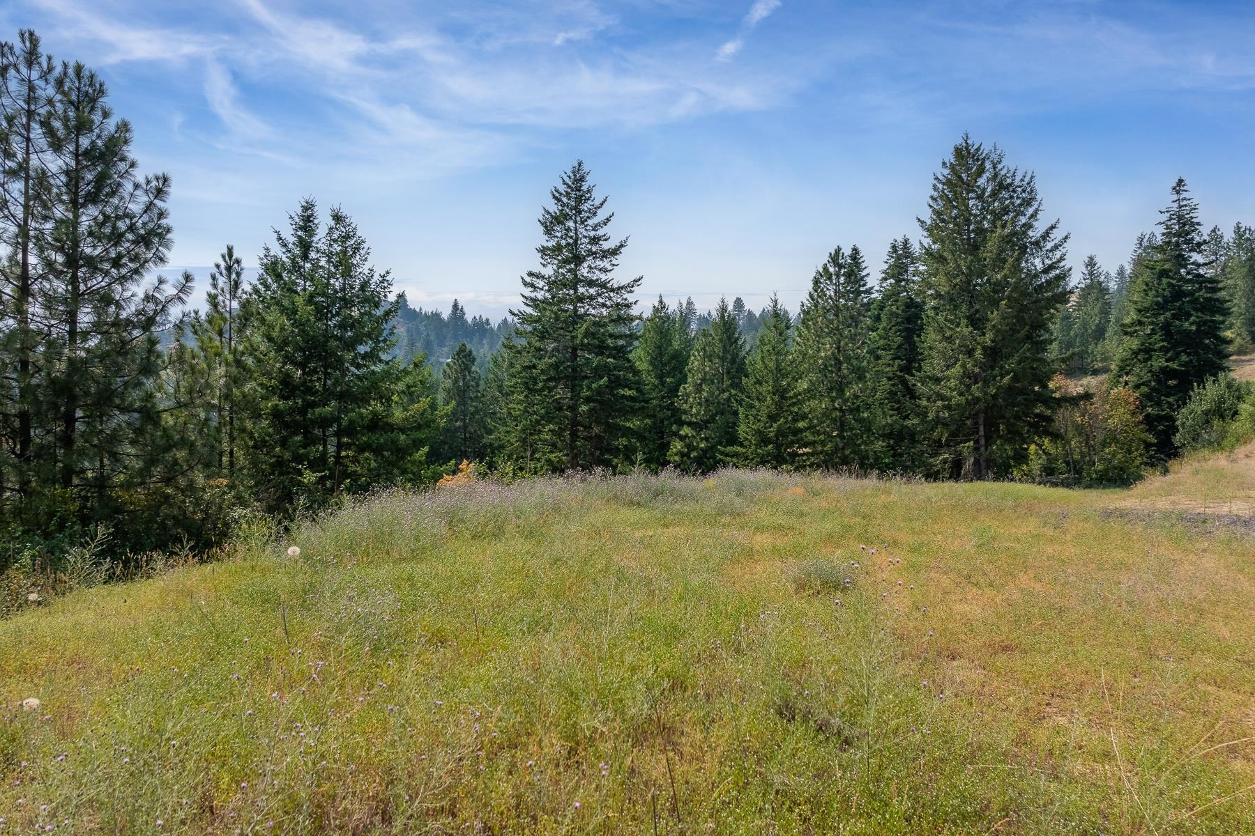NNA Blue Ridge Way - Photo 13