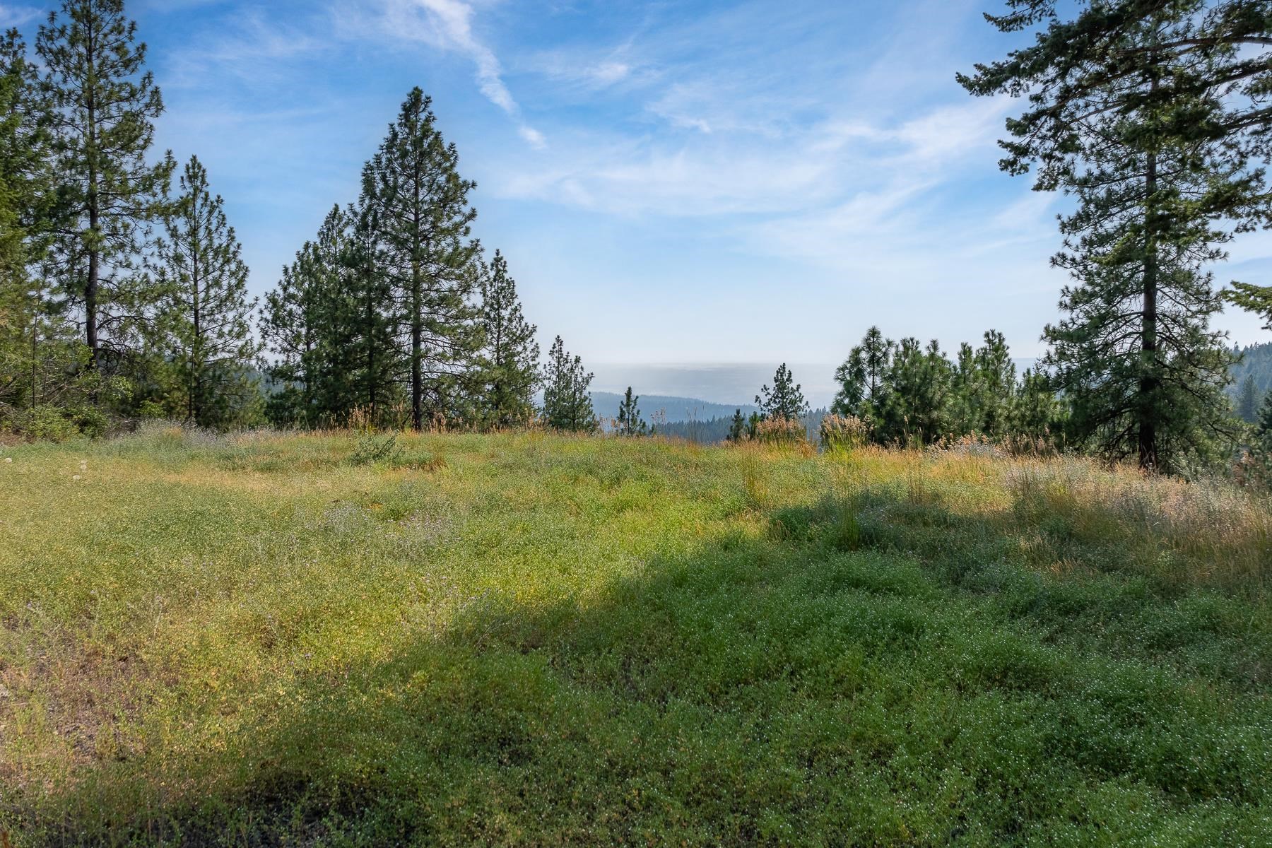 NNA Blue Ridge Way - Photo 14