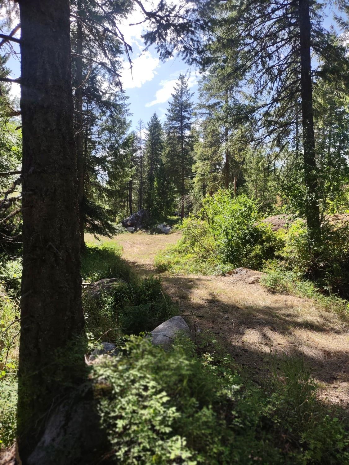 32 Granite Ct - Photo 12