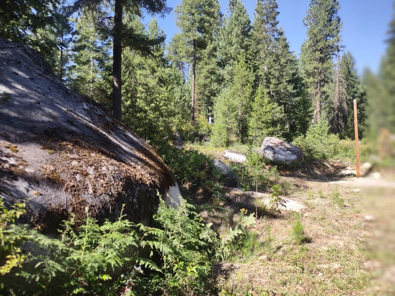 32 Granite Ct - Photo 13