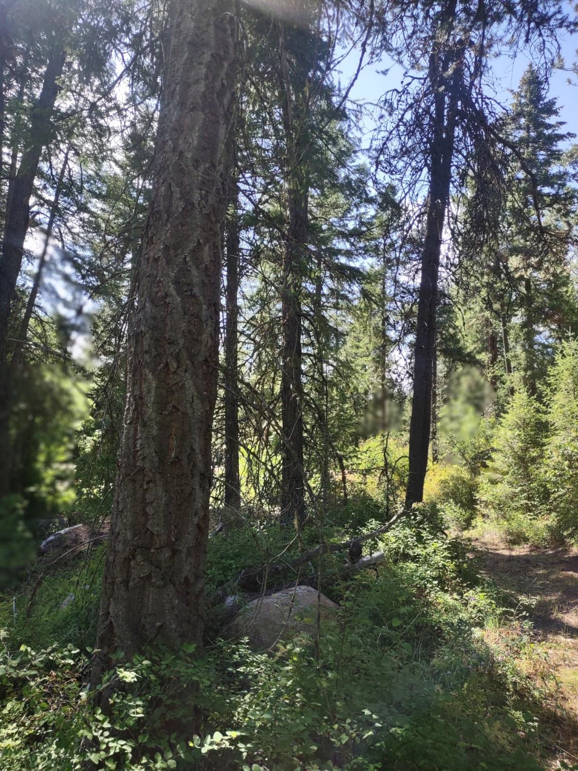 32 Granite Ct - Photo 14