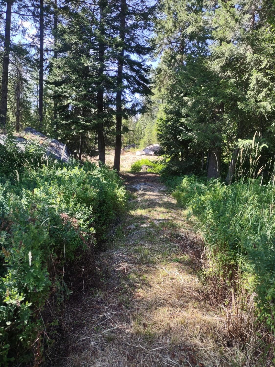 32 Granite Ct - Photo 16