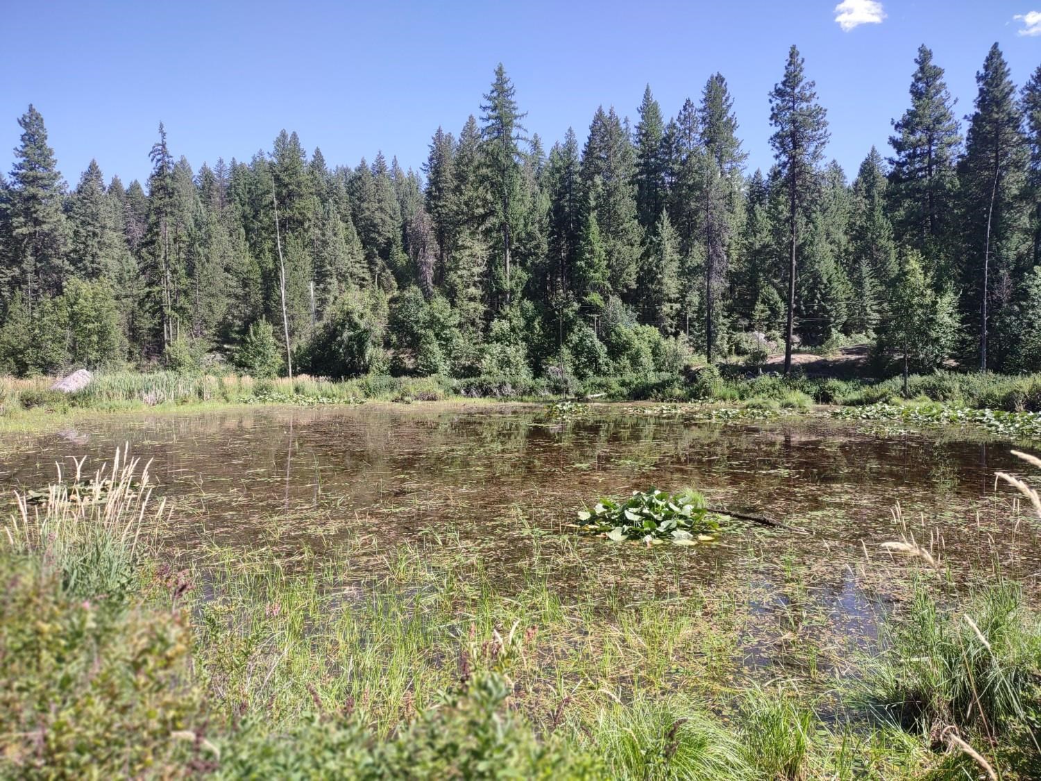 32 Granite Ct - Photo 17