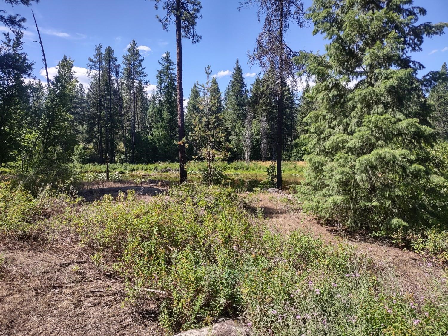 32 Granite Ct - Photo 27