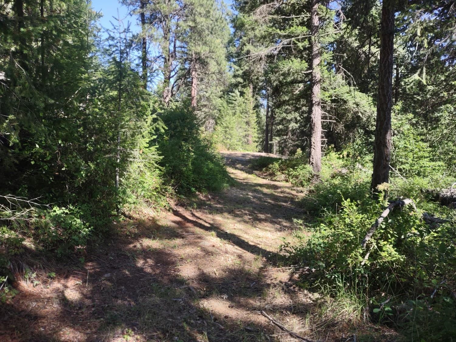32 Granite Ct - Photo 31
