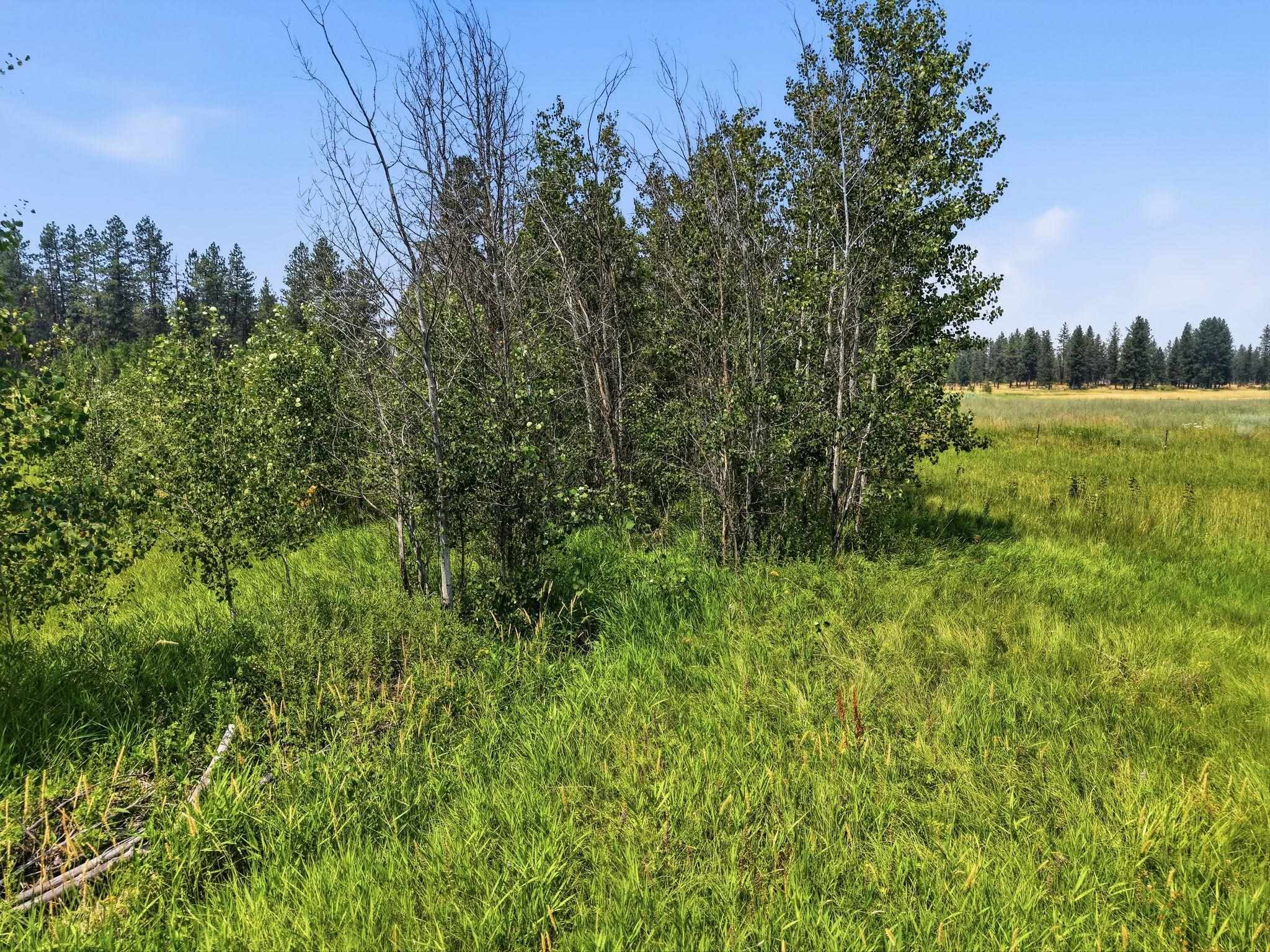 1410 W Paradise Rd - Photo 10