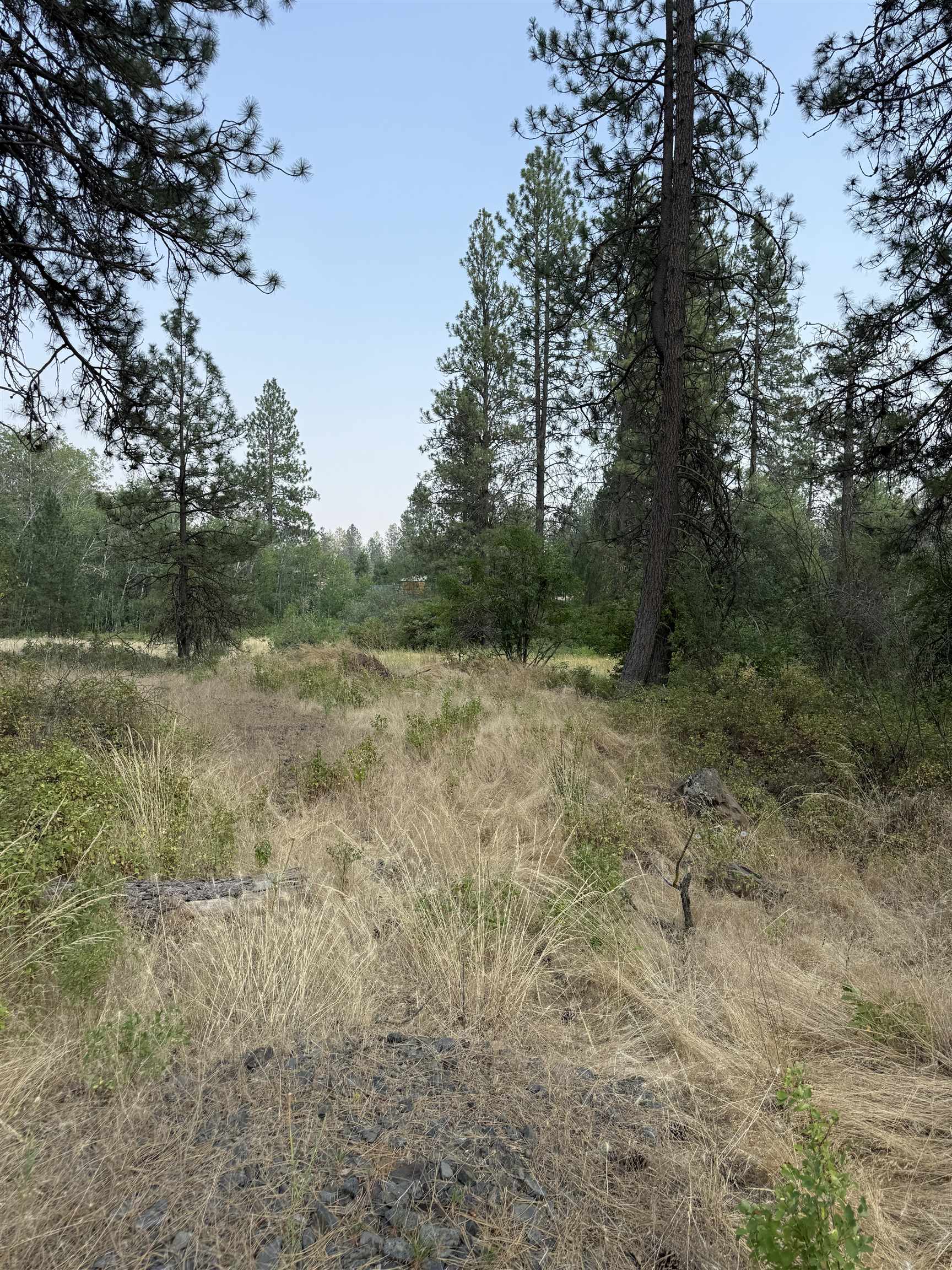 5.11 AC W Malloy Prairie Rd - Photo 8