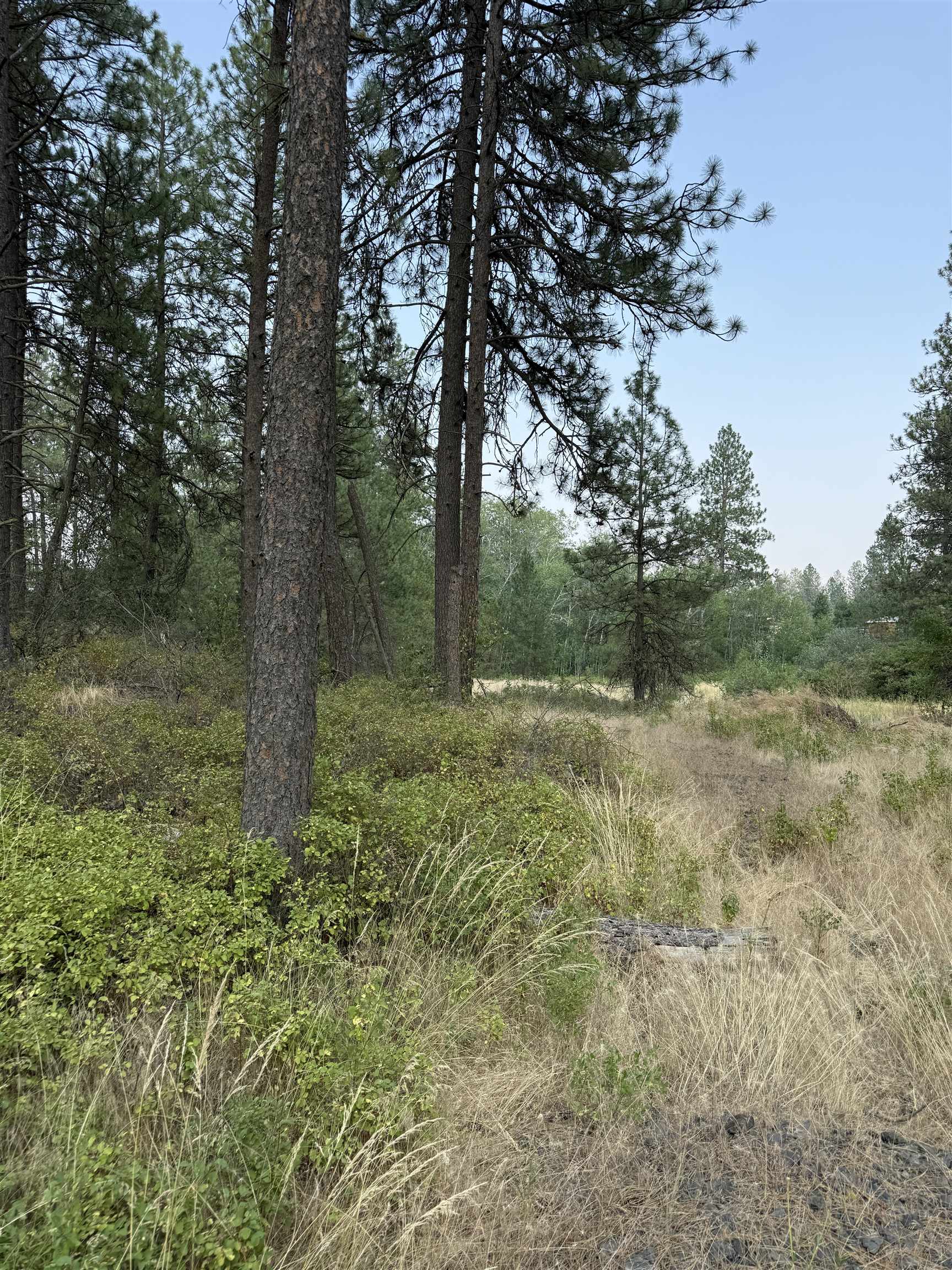 5.11 AC W Malloy Prairie Rd - Photo 9