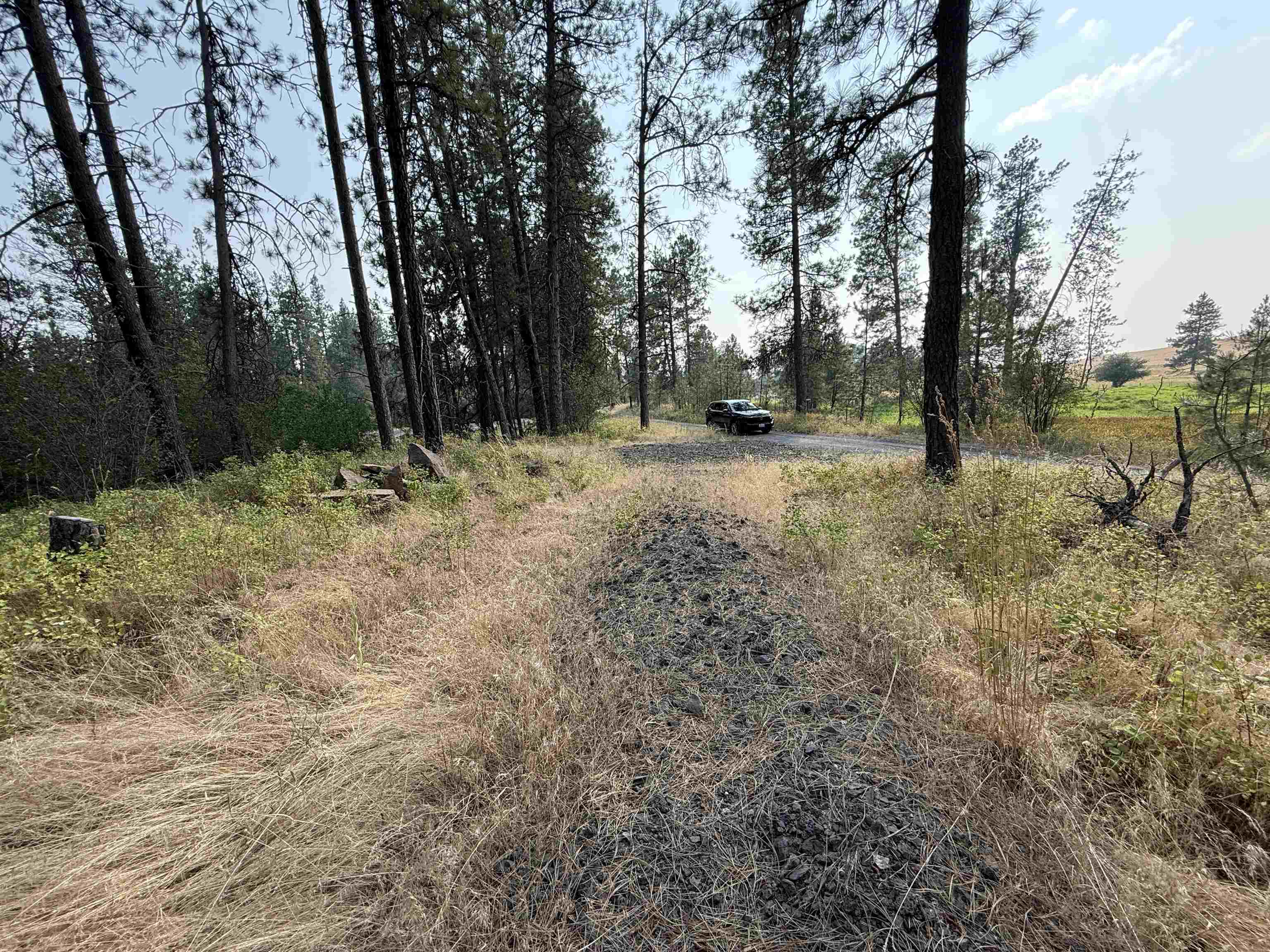 5.11 AC W Malloy Prairie Rd - Photo 6