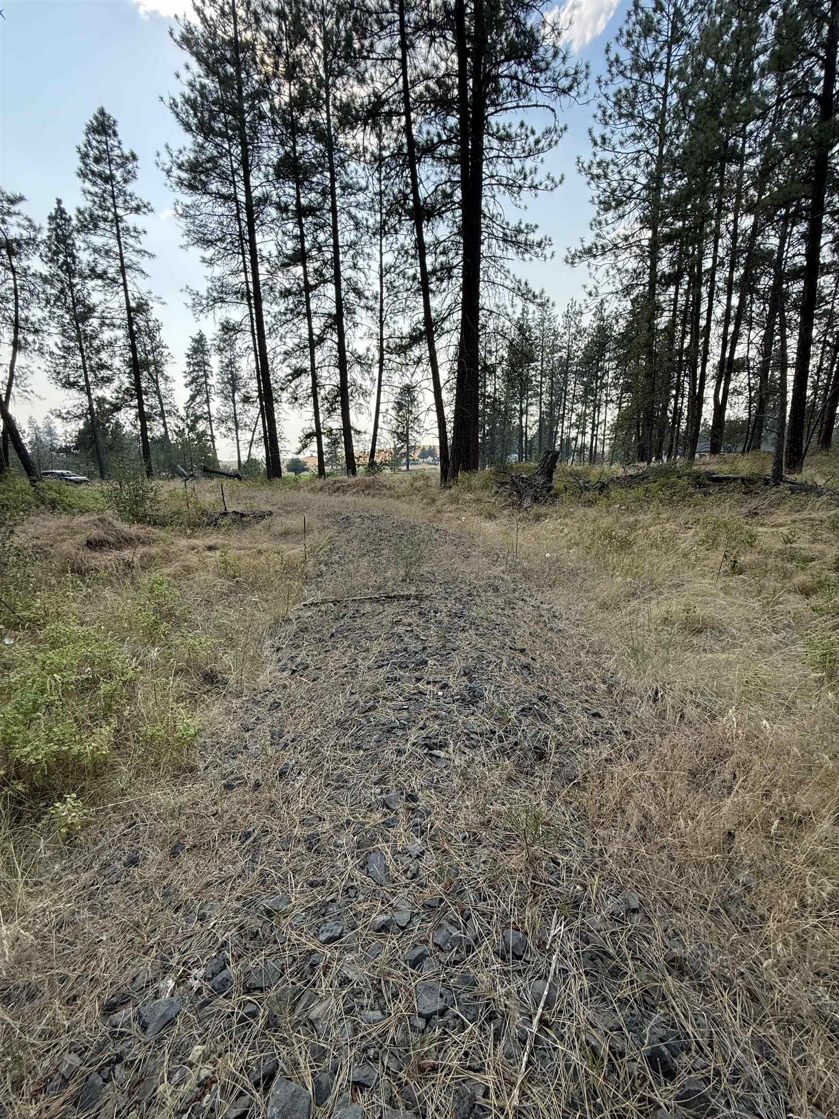 5.11 AC W Malloy Prairie Rd - Photo 10