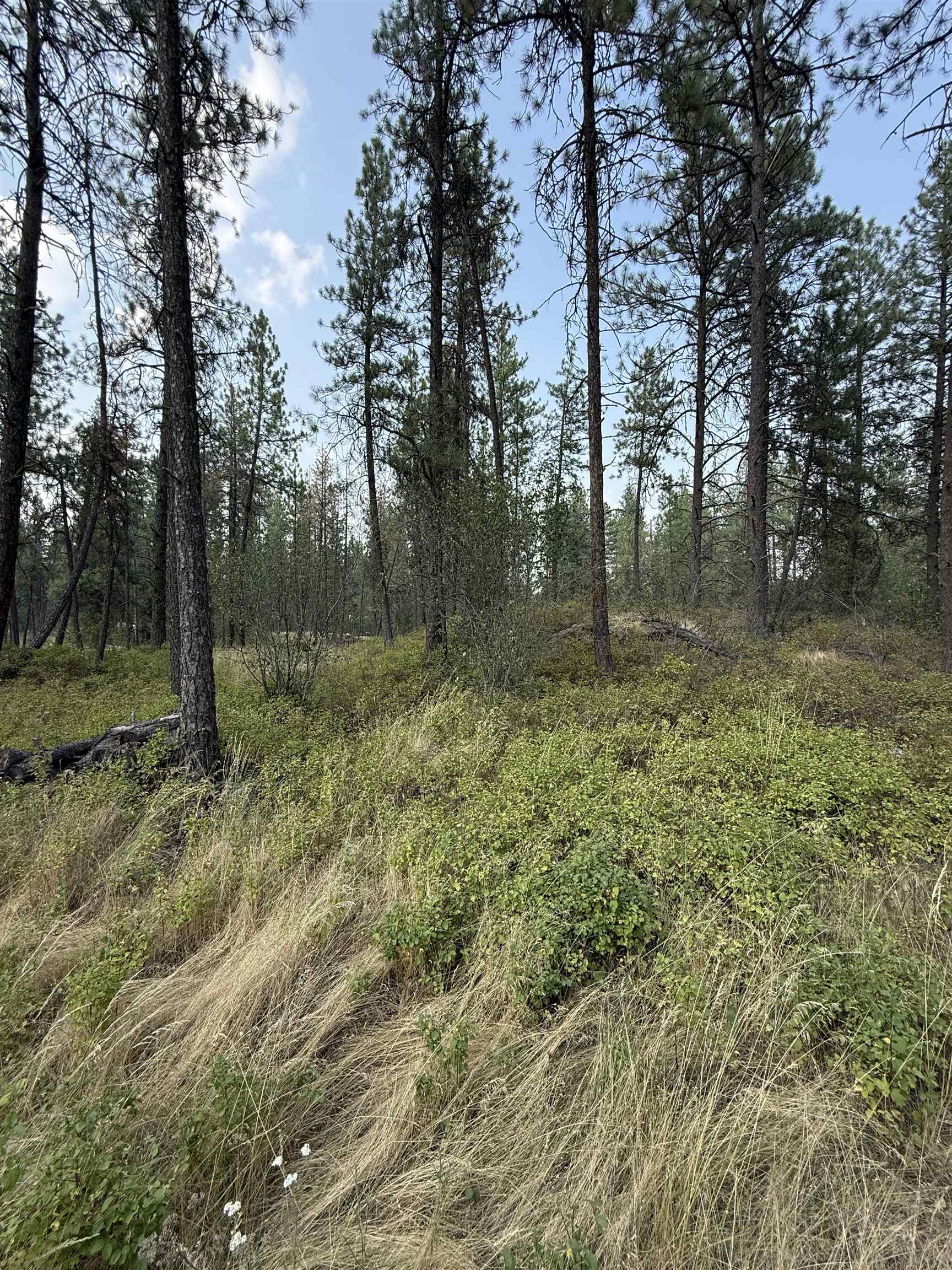 5.11 AC W Malloy Prairie Rd - Photo 11
