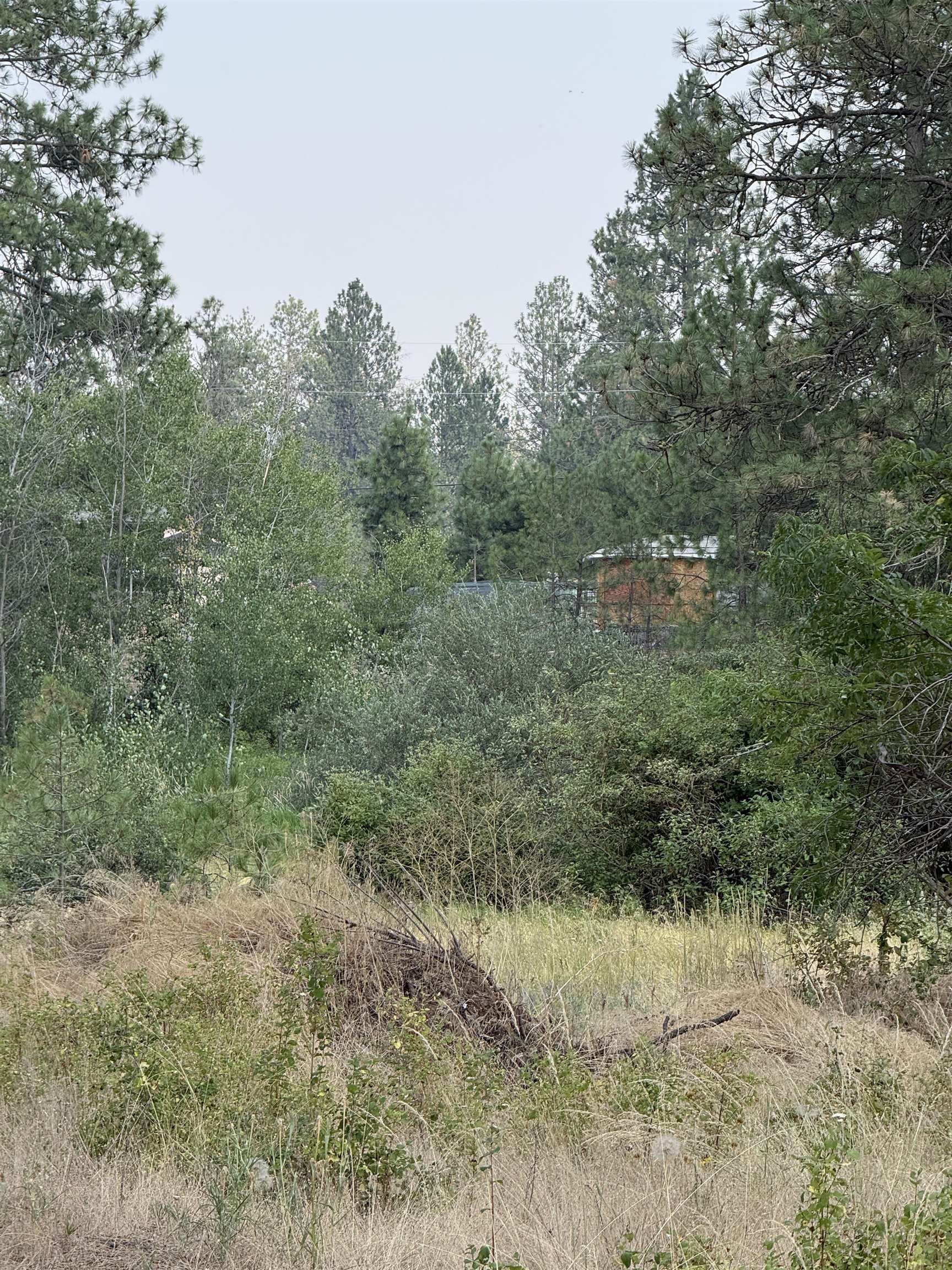 5.11 AC W Malloy Prairie Rd - Photo 12