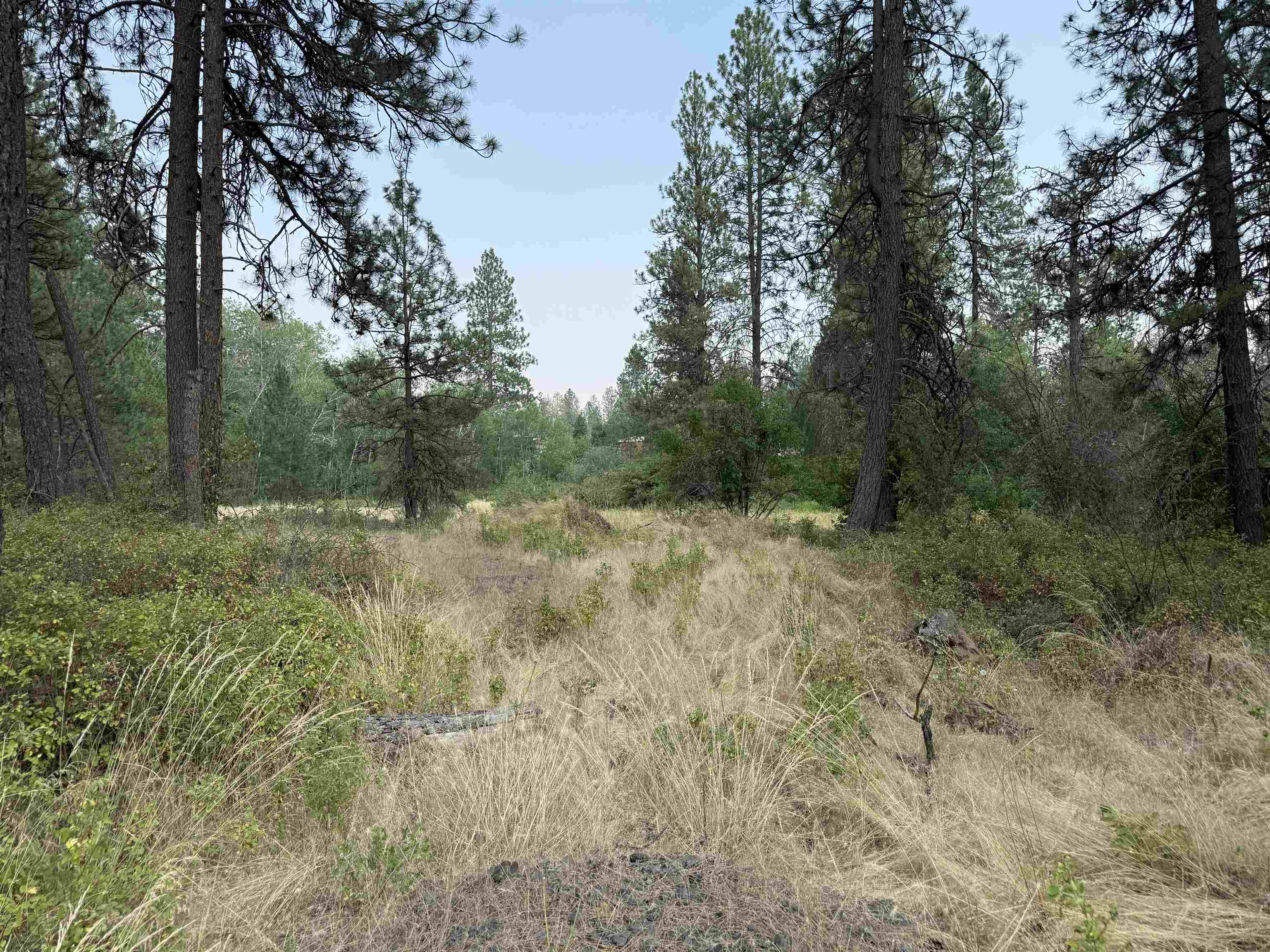 5.11 AC W Malloy Prairie Rd - Photo 13