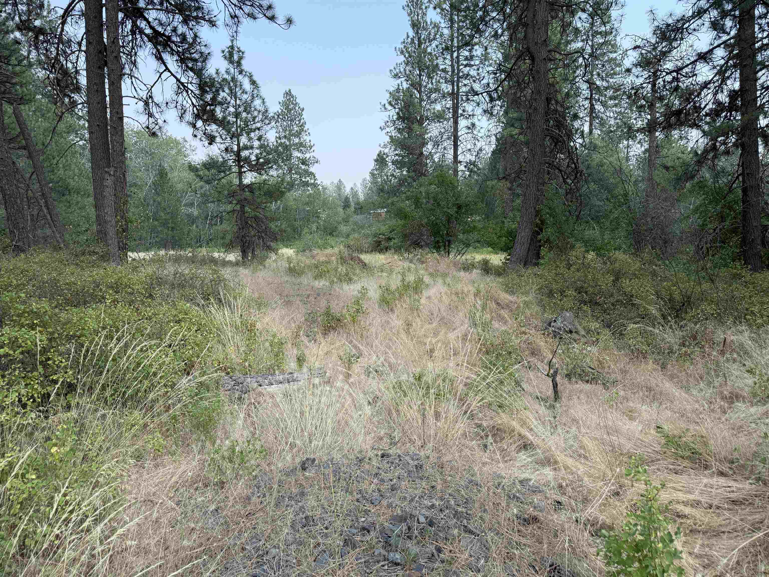 5.11 AC W Malloy Prairie Rd - Photo 4