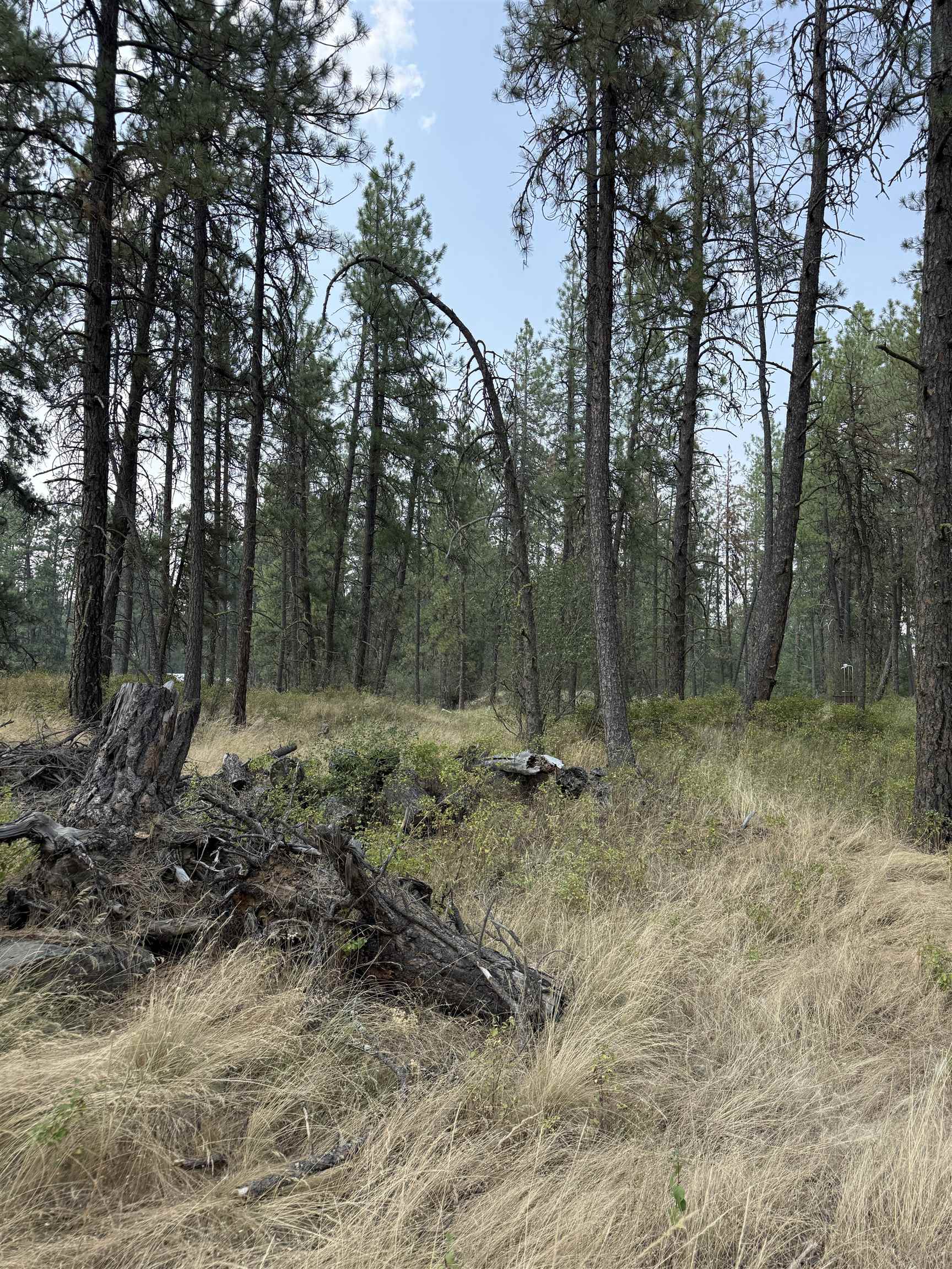 5.11 AC W Malloy Prairie Rd - Photo 14