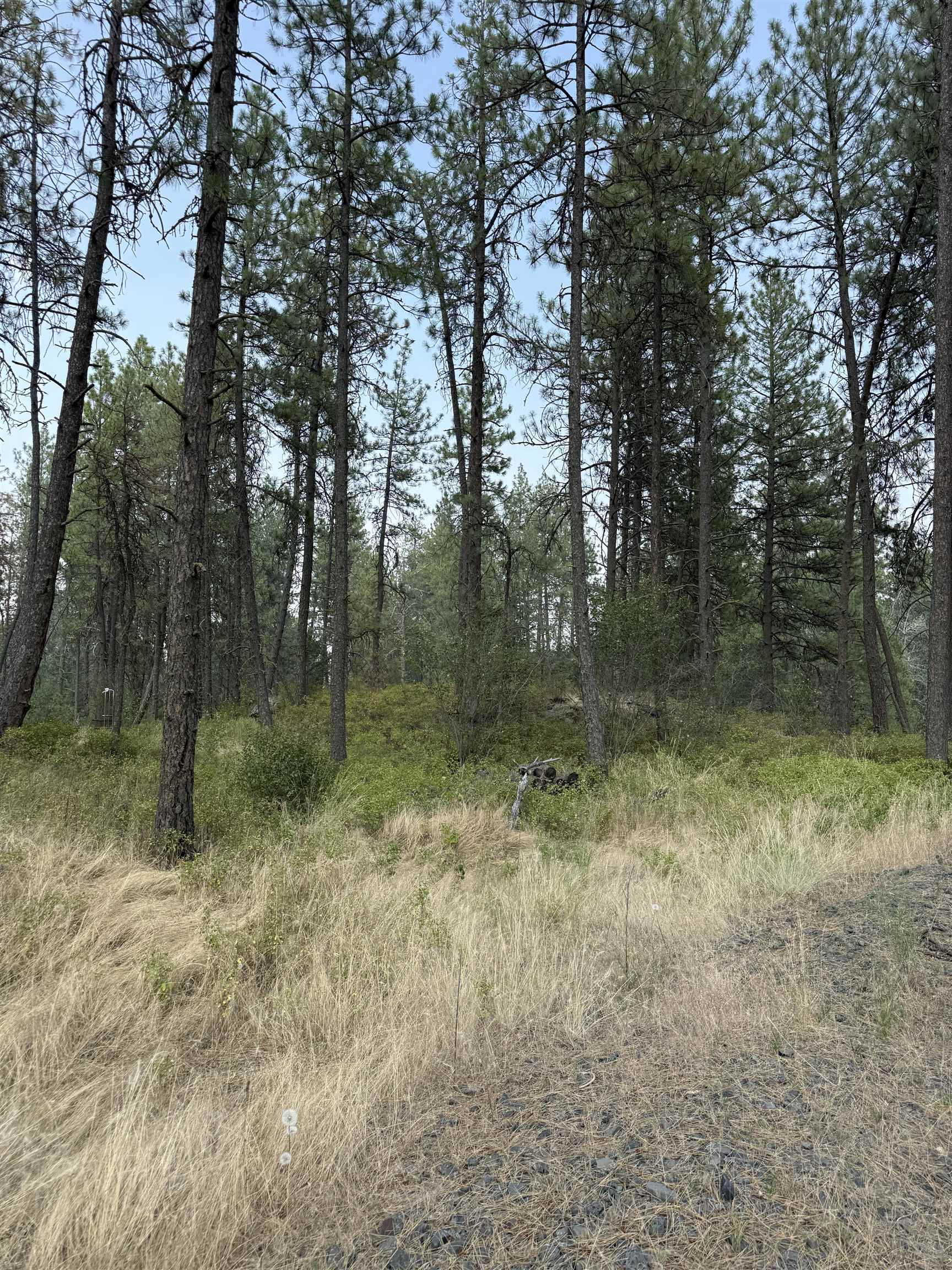 5.11 AC W Malloy Prairie Rd - Photo 15