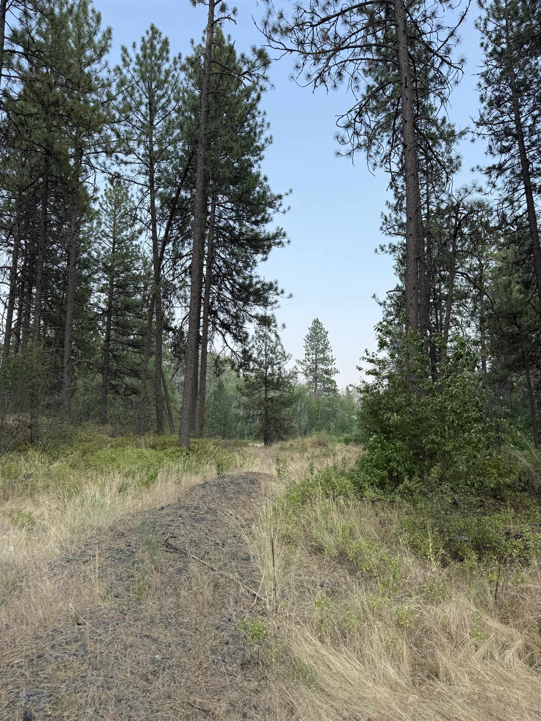 5.11 AC W Malloy Prairie Rd - Photo 16