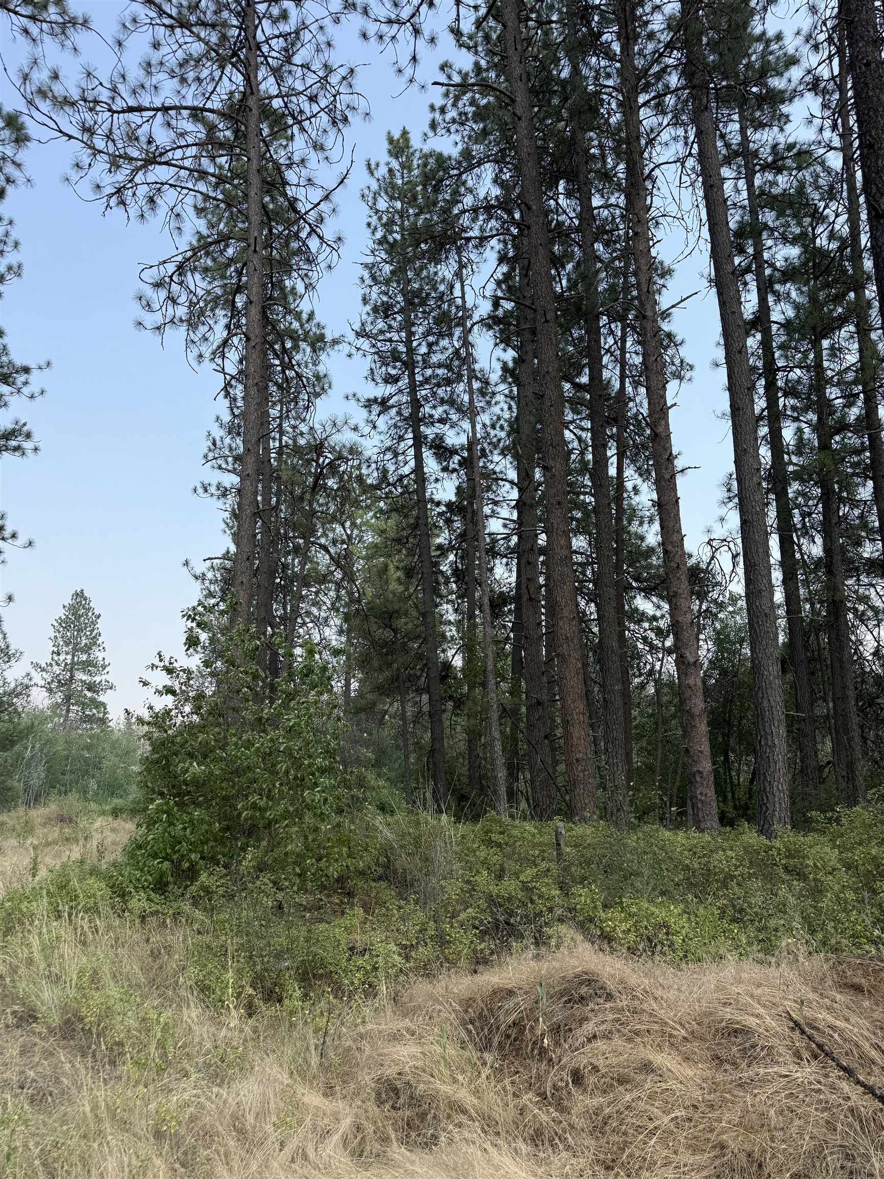 5.11 AC W Malloy Prairie Rd - Photo 18