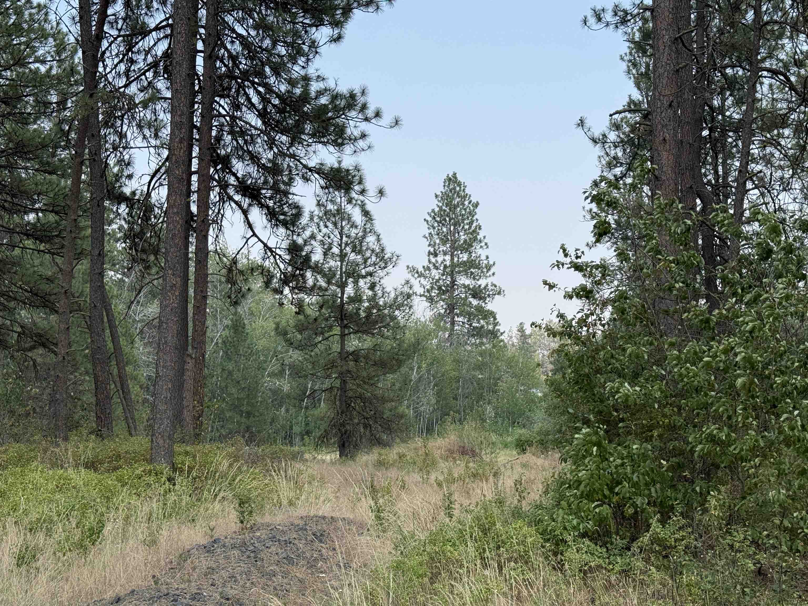 5.11 AC W Malloy Prairie Rd - Photo 1