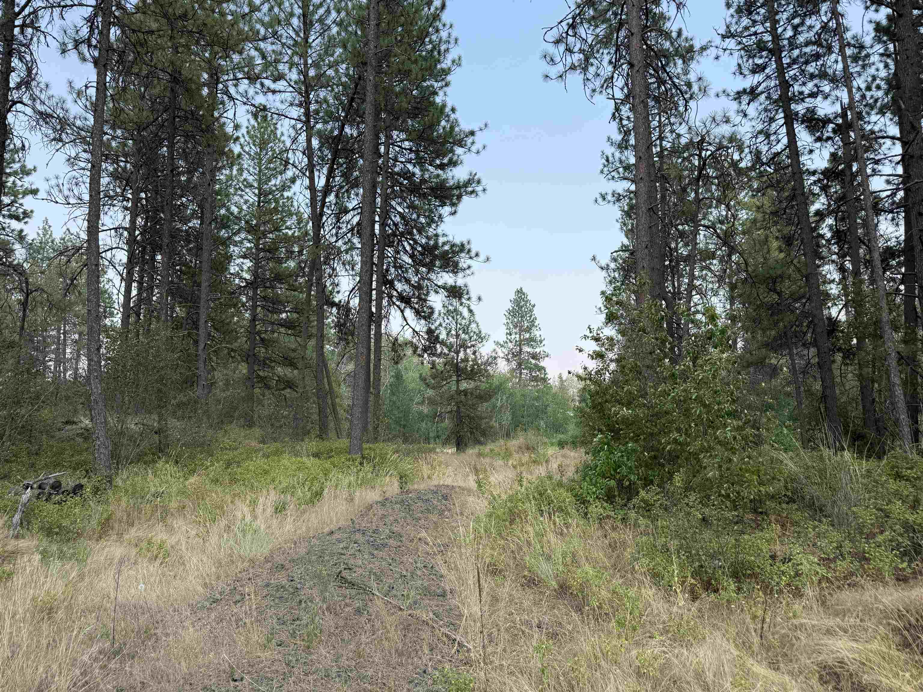 5.11 AC W Malloy Prairie Rd - Photo 19