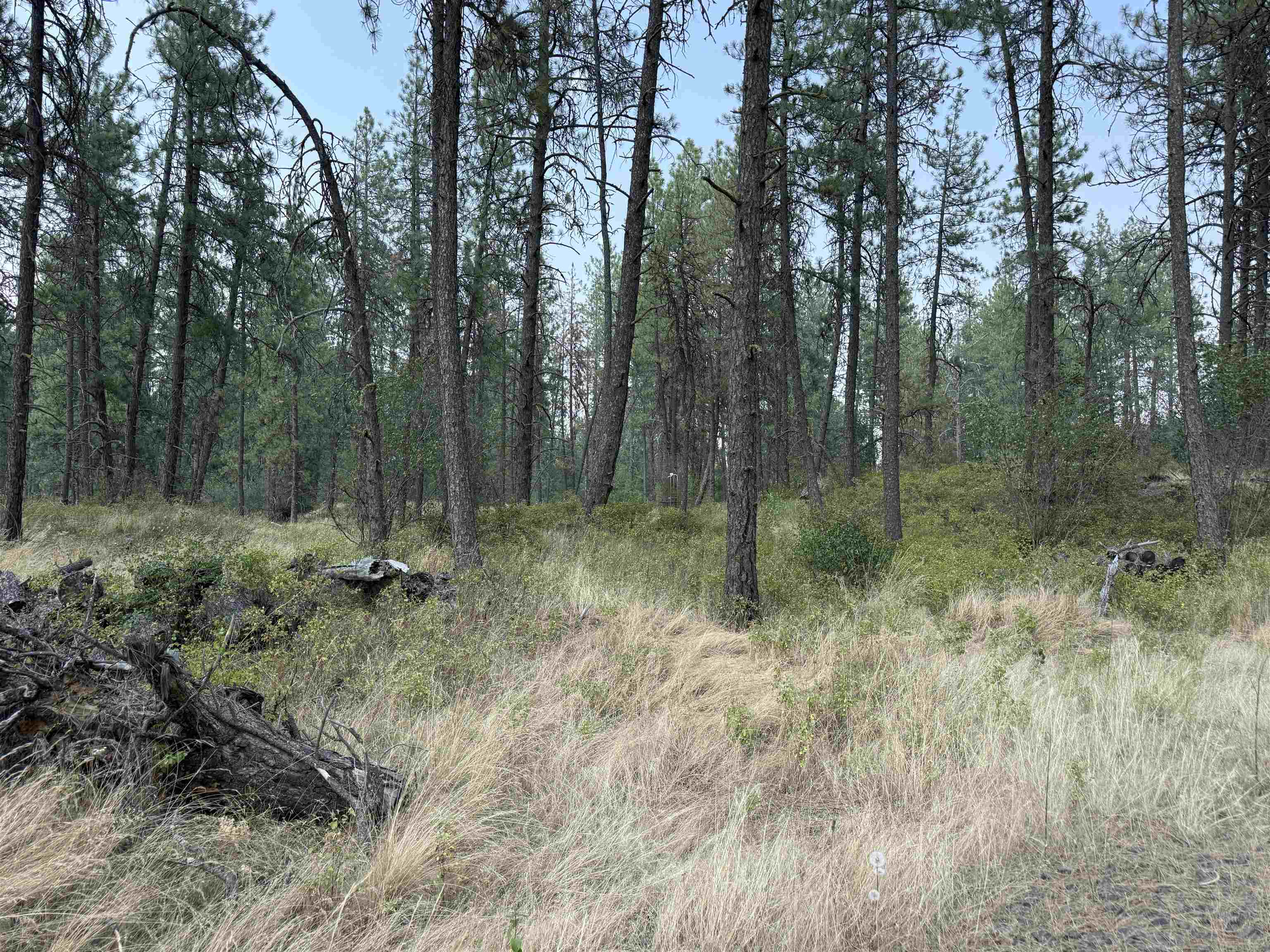 5.11 AC W Malloy Prairie Rd - Photo 20