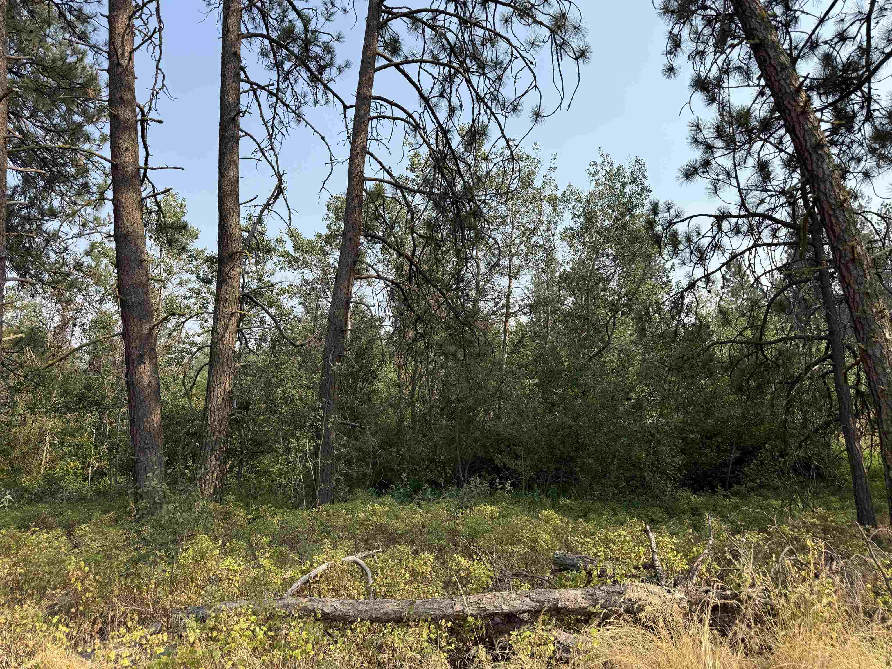 5.11 AC W Malloy Prairie Rd - Photo 21