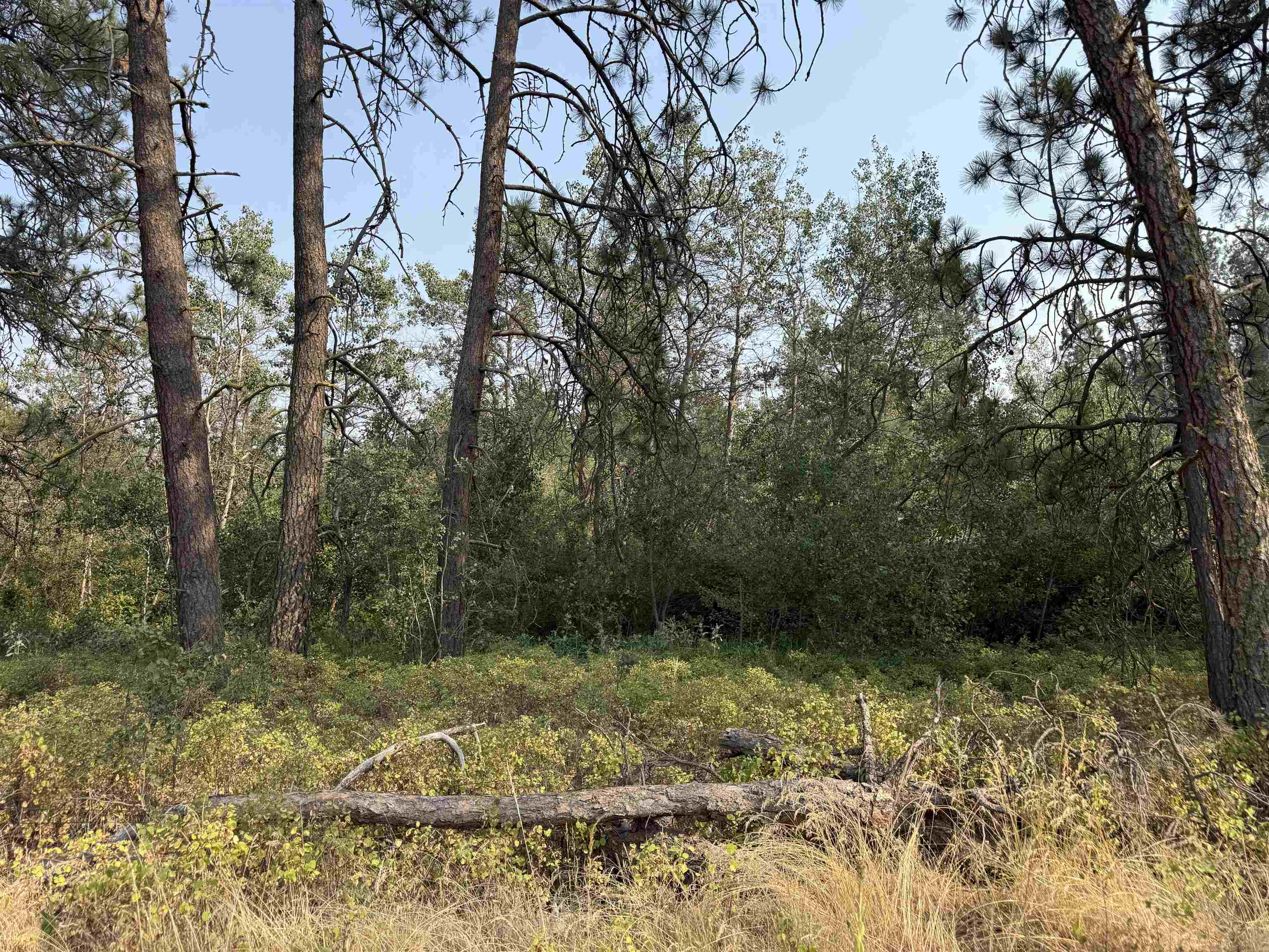 5.11 AC W Malloy Prairie Rd - Photo 22