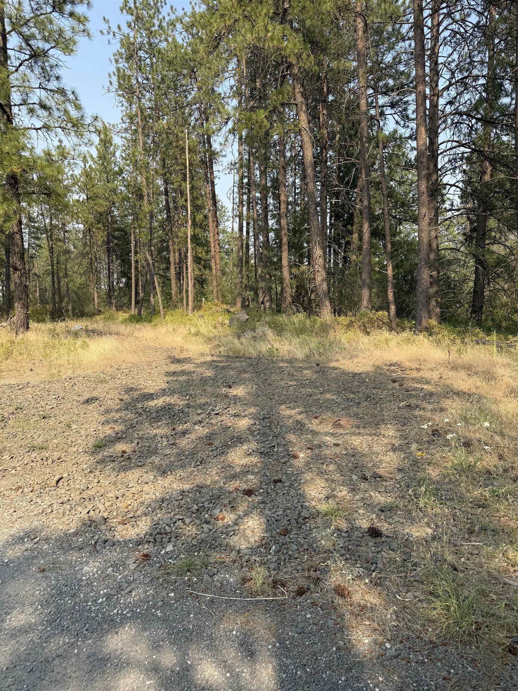 5.11 AC W Malloy Prairie Rd - Photo 23