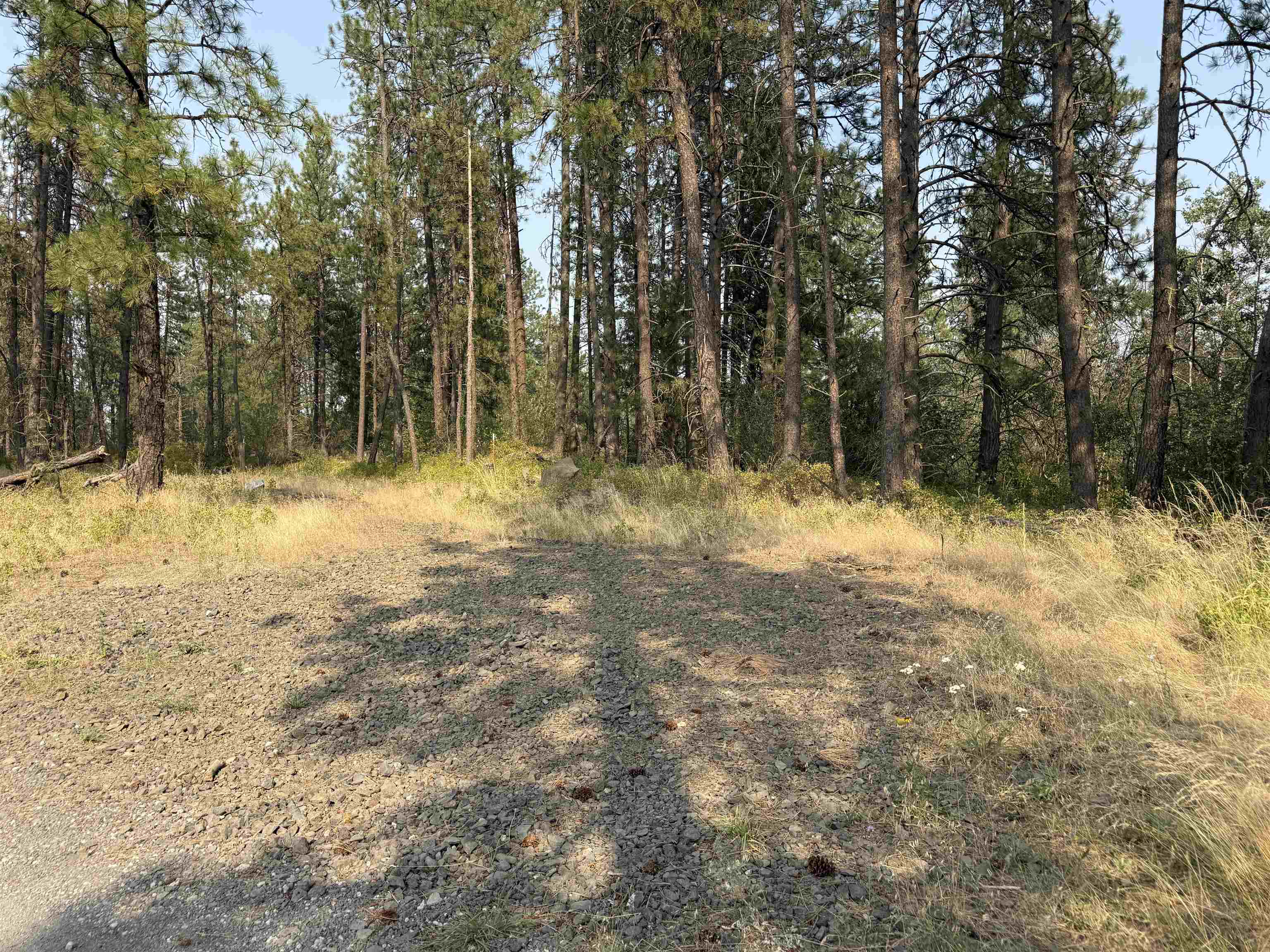 5.11 AC W Malloy Prairie Rd - Photo 5