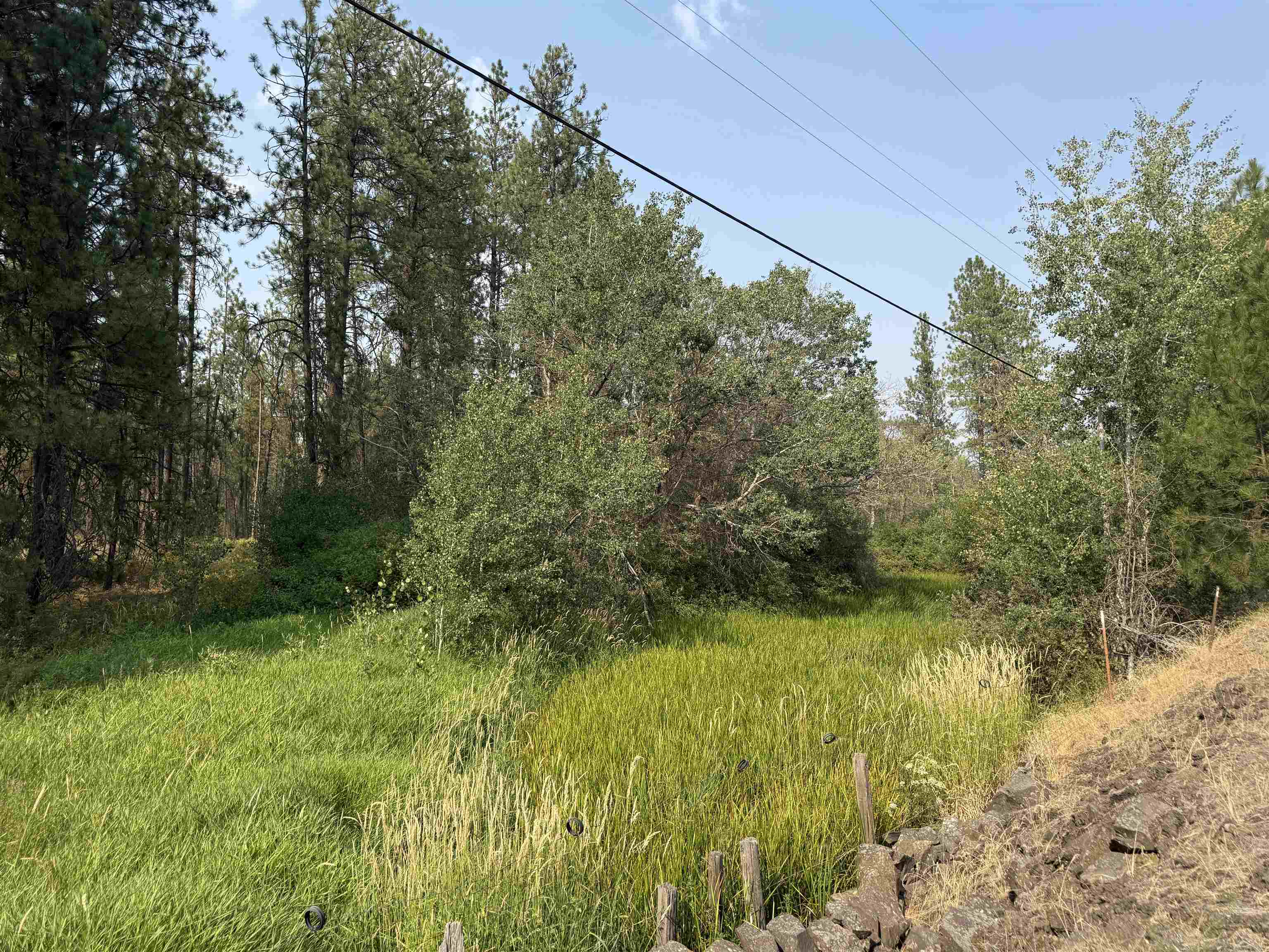 5.11 AC W Malloy Prairie Rd - Photo 26