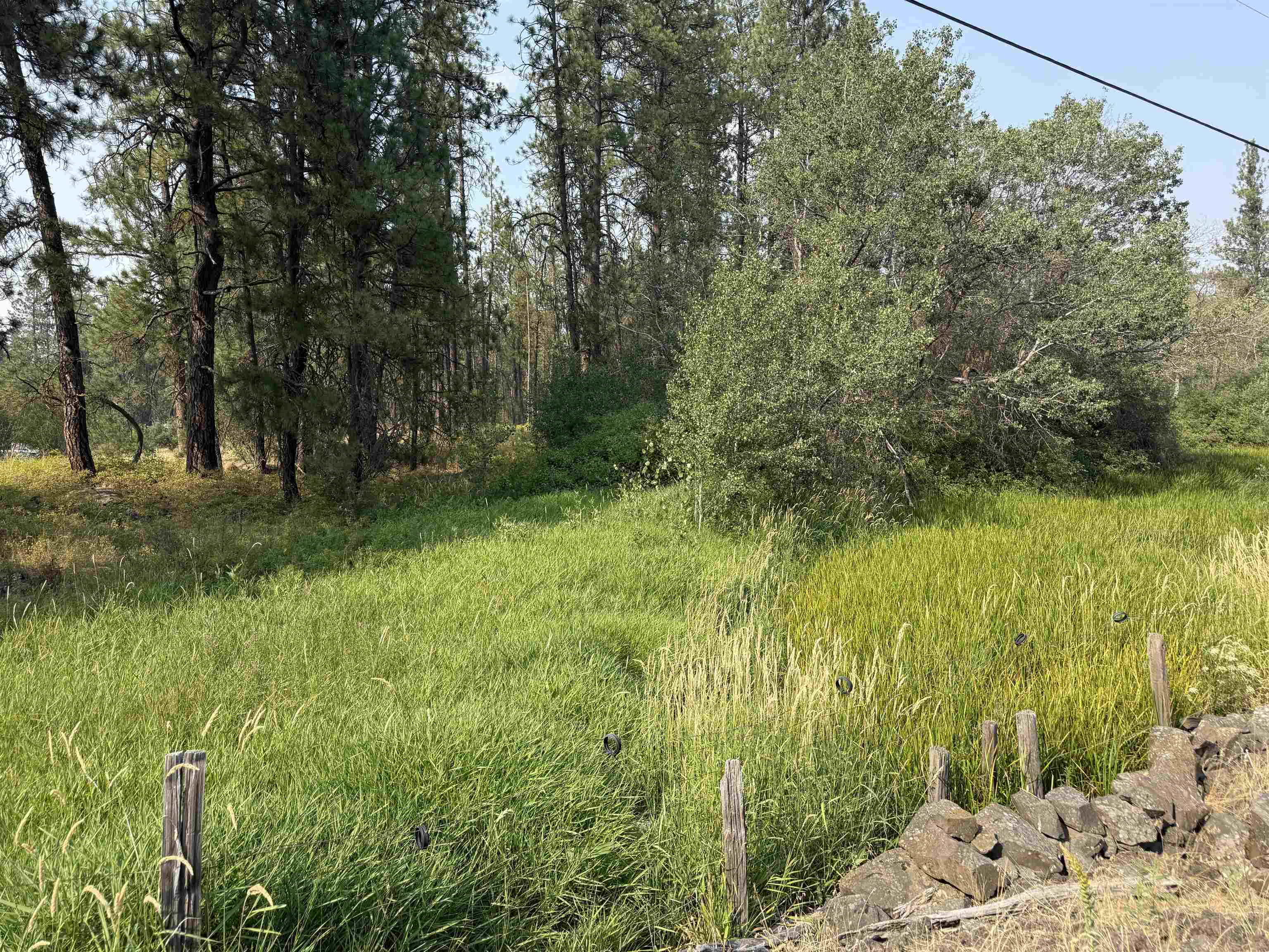 5.11 AC W Malloy Prairie Rd - Photo 2