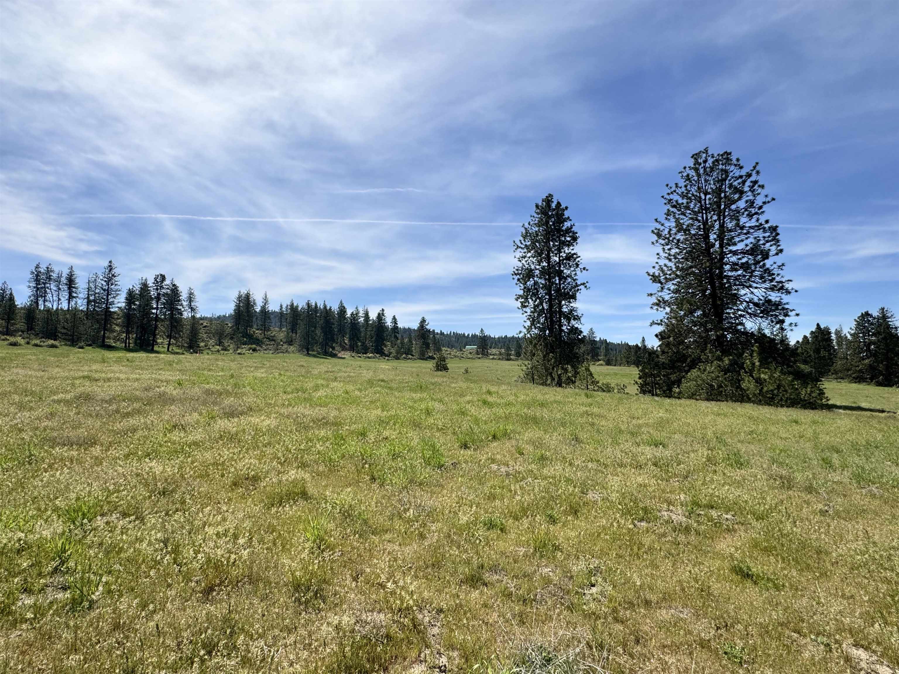31625 E Hume Rd - Photo 4