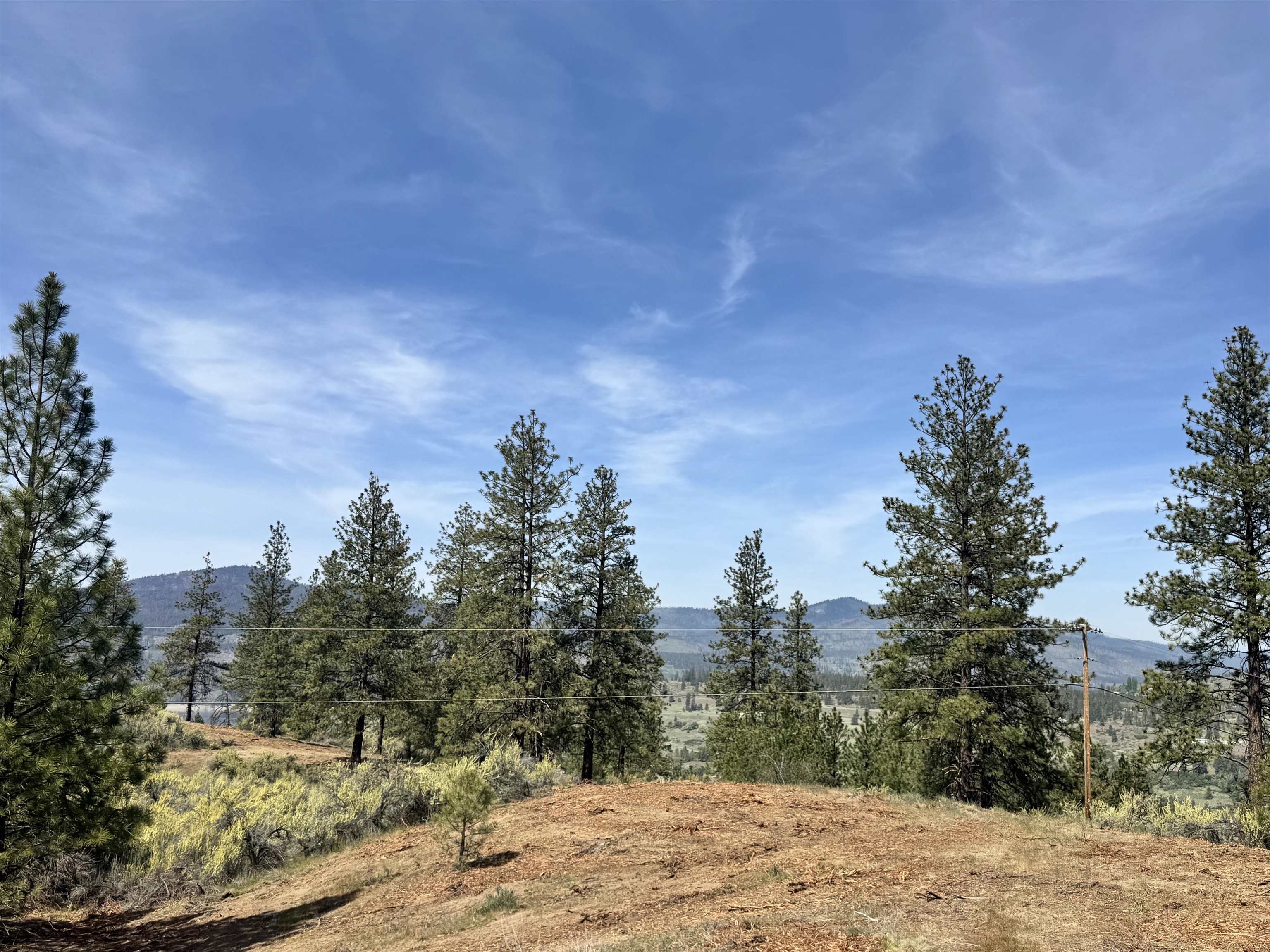 31625 E Hume Rd - Photo 5