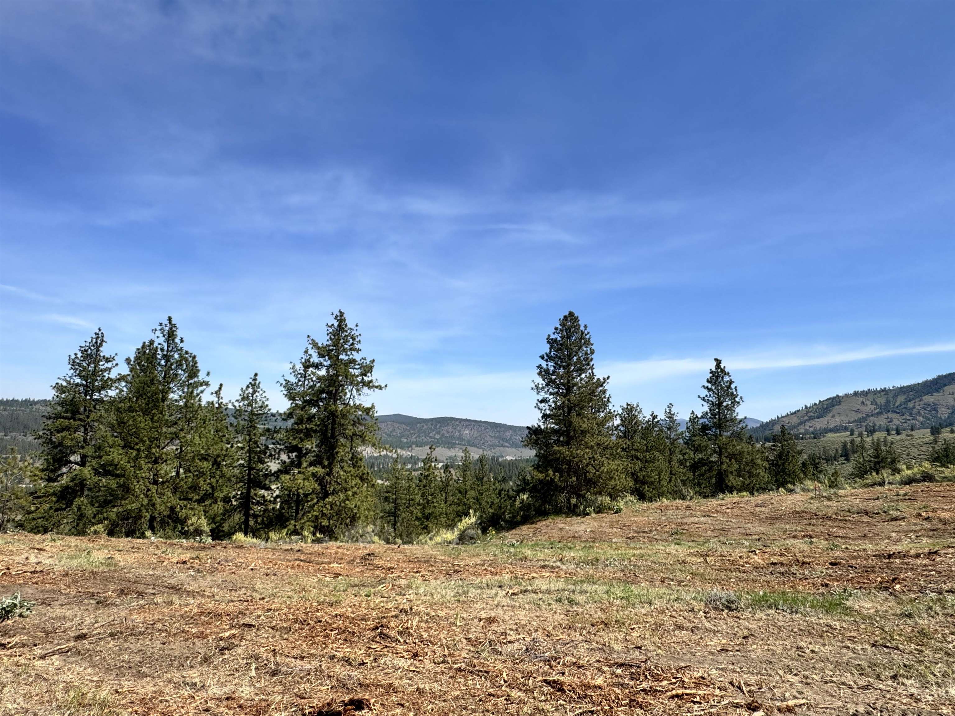 31625 E Hume Rd - Photo 6