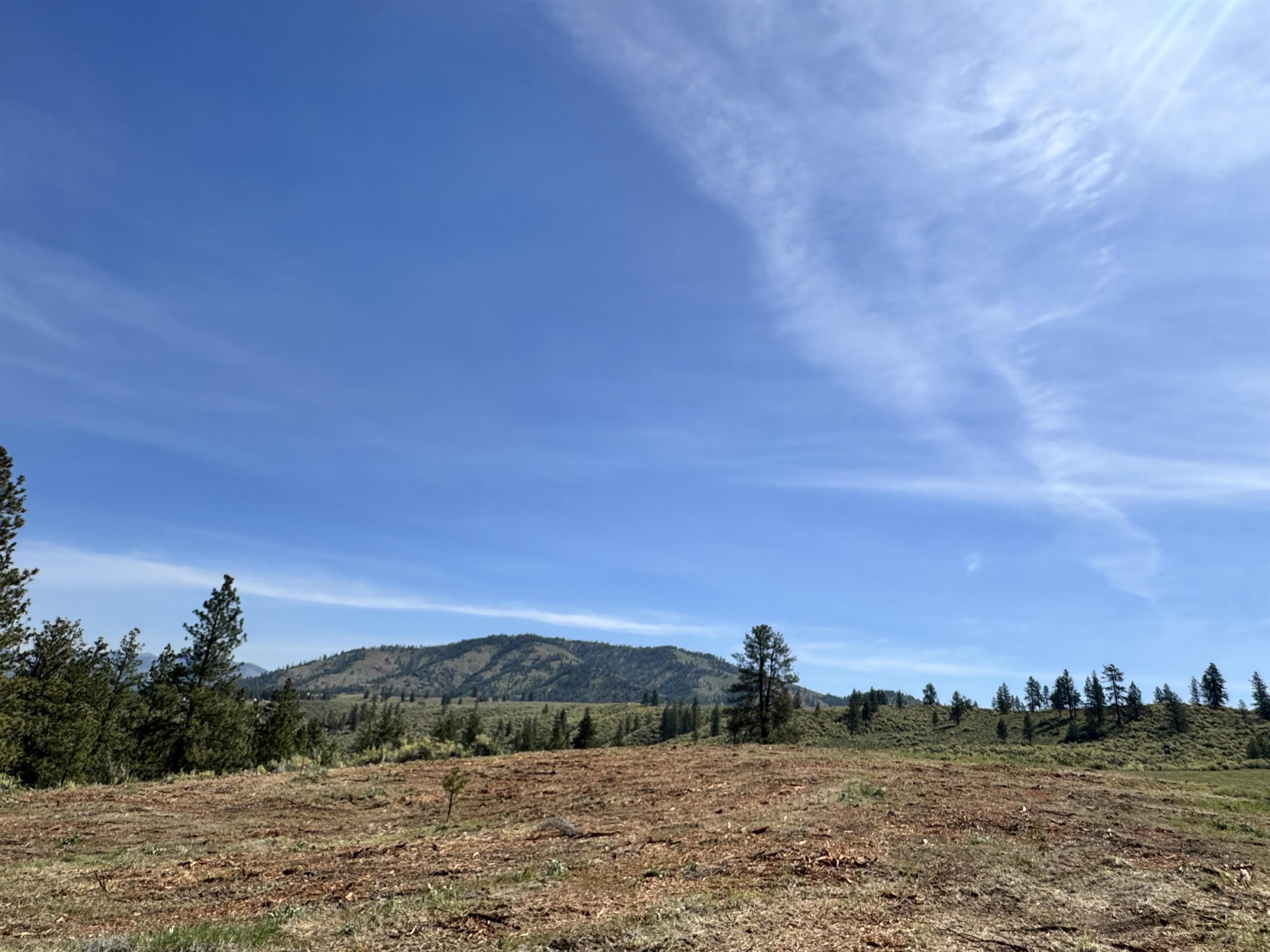 31625 E Hume Rd - Photo 8